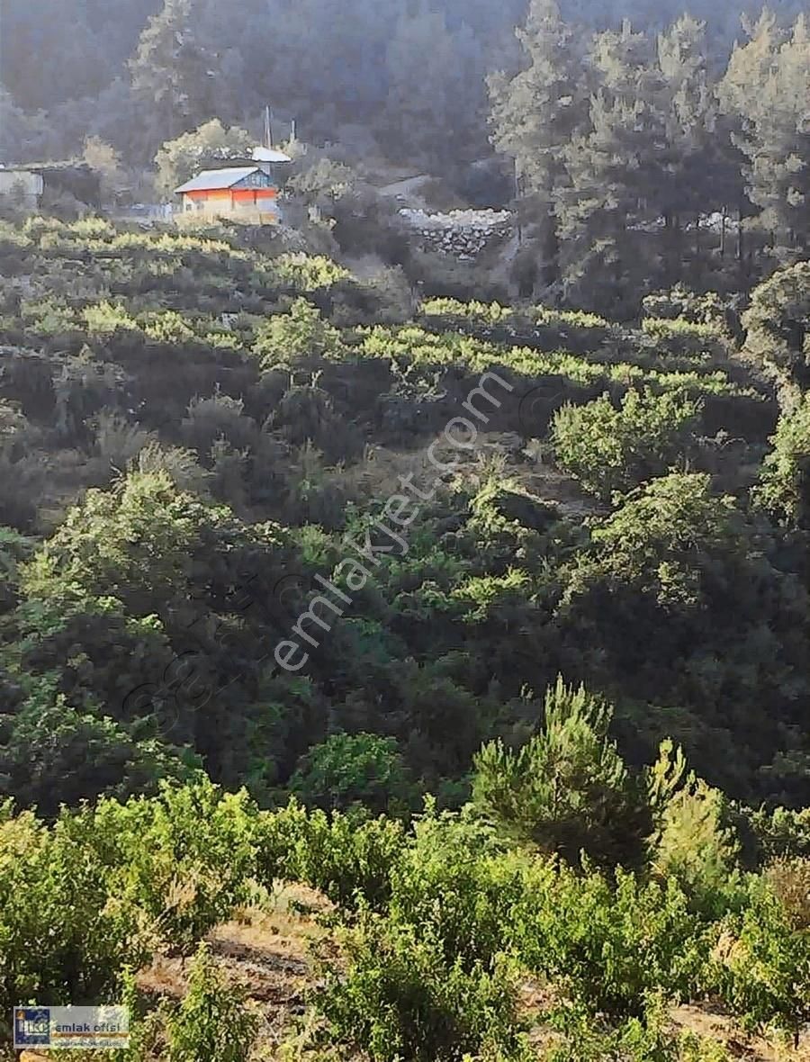 Toroslar Aladağ Satılık Bağ & Bahçe İlke'den Aladağda 1561 M2 Satılık Meyve Bahçesi