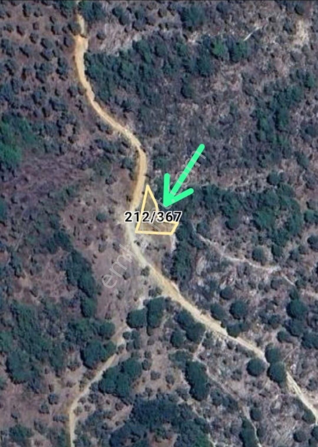 Sahibinden Muğla Milas Çomakdağ Köye Yakın 233m² Tarla 205 Bin Tl Takas Olur - Görsel 14