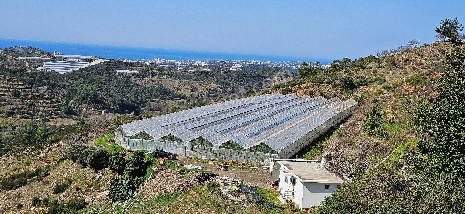 Alanya Yeniköy Satılık Tarla EREN EMLAK'tan Alanya Yeni Köyde Deniz Manzaralı 2 Adet Satılık Tarla Araç Takası Olur 