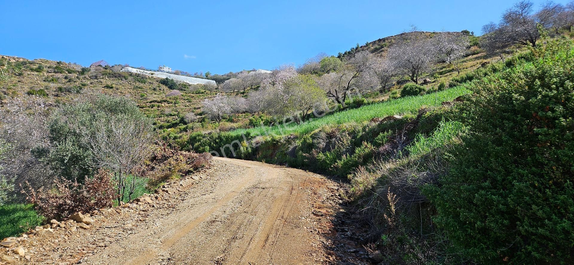 Eren Emlak'tan Alanya Yeni Köyde Deniz Manzaralı Satılık Tarla Araç Takası Olur - Görsel 21