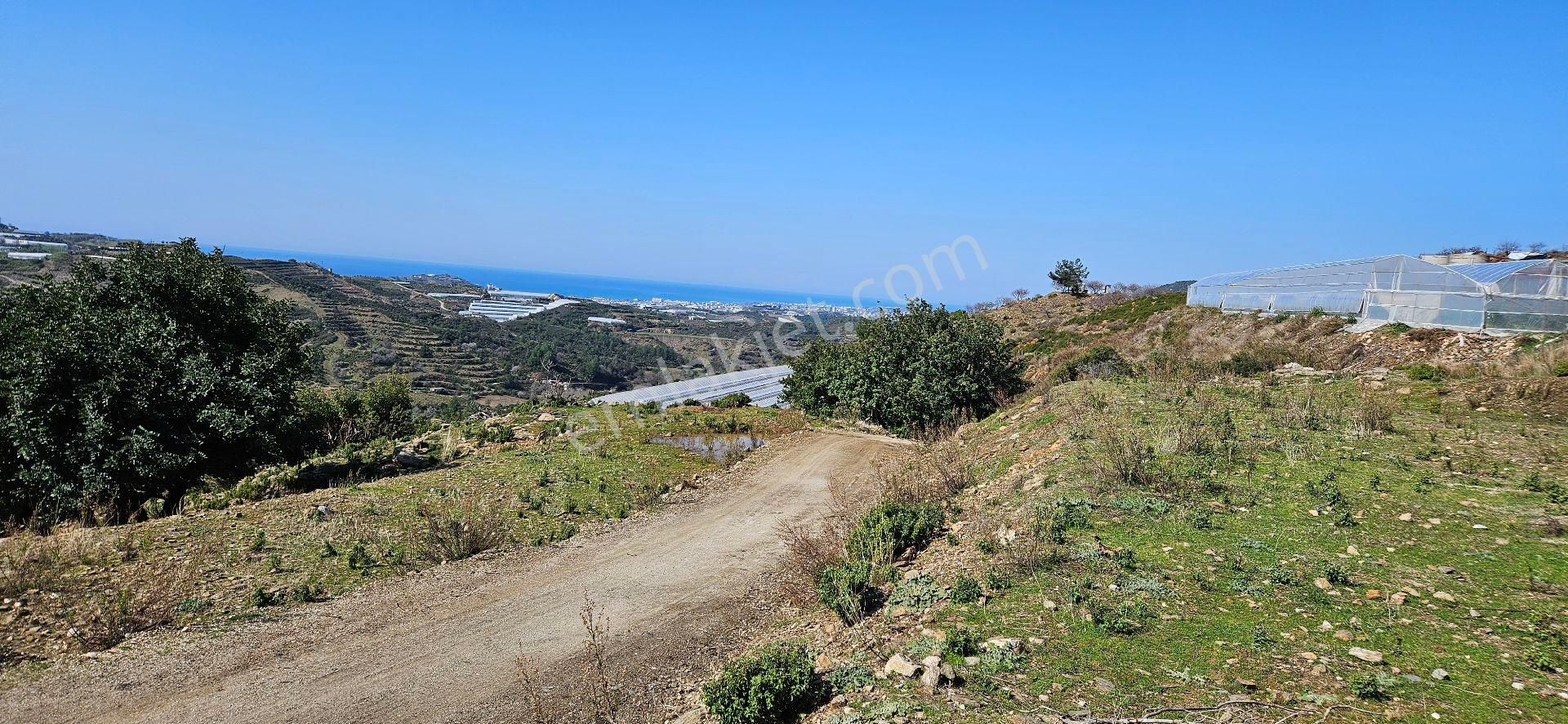 Eren Emlak'tan Alanya Yeni Köyde Deniz Manzaralı Satılık Tarla Araç Takası Olur - Görsel 15