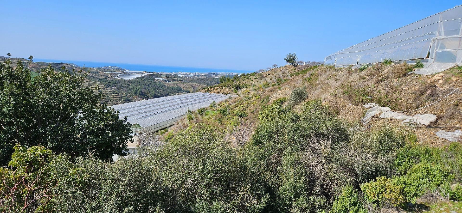 Eren Emlak'tan Alanya Yeni Köyde Deniz Manzaralı Satılık Tarla Araç Takası Olur - Görsel 7