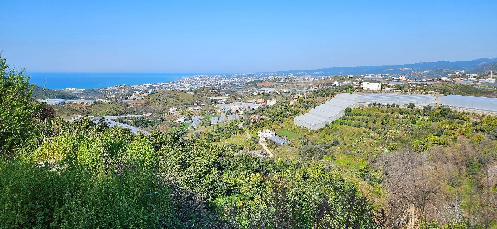 Eren Emlak'tan Alanya Yeni Köyde Deniz Manzaralı Satılık Tarla Araç Takası Olur - Görsel 26