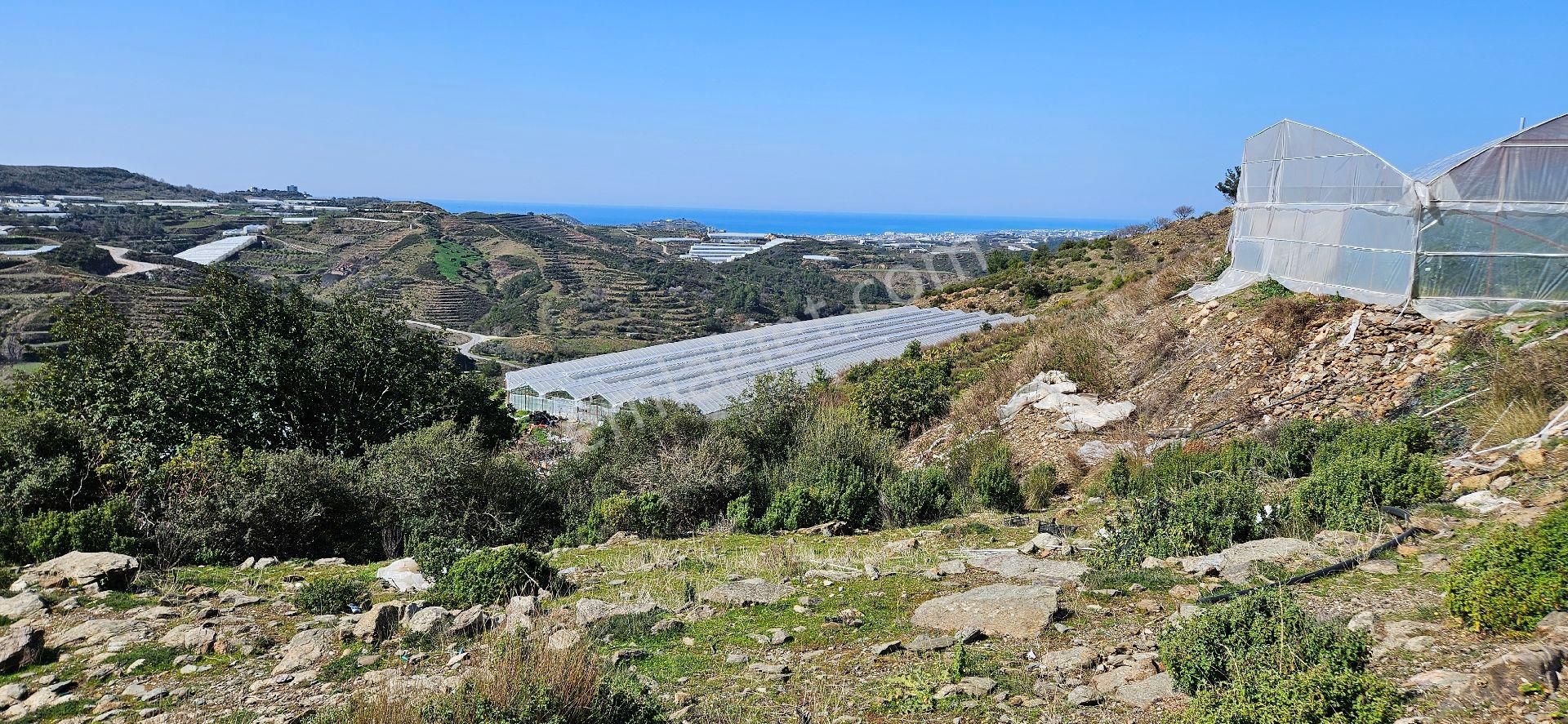Eren Emlak'tan Alanya Yeni Köyde Deniz Manzaralı Satılık Tarla Araç Takası Olur - Görsel 8