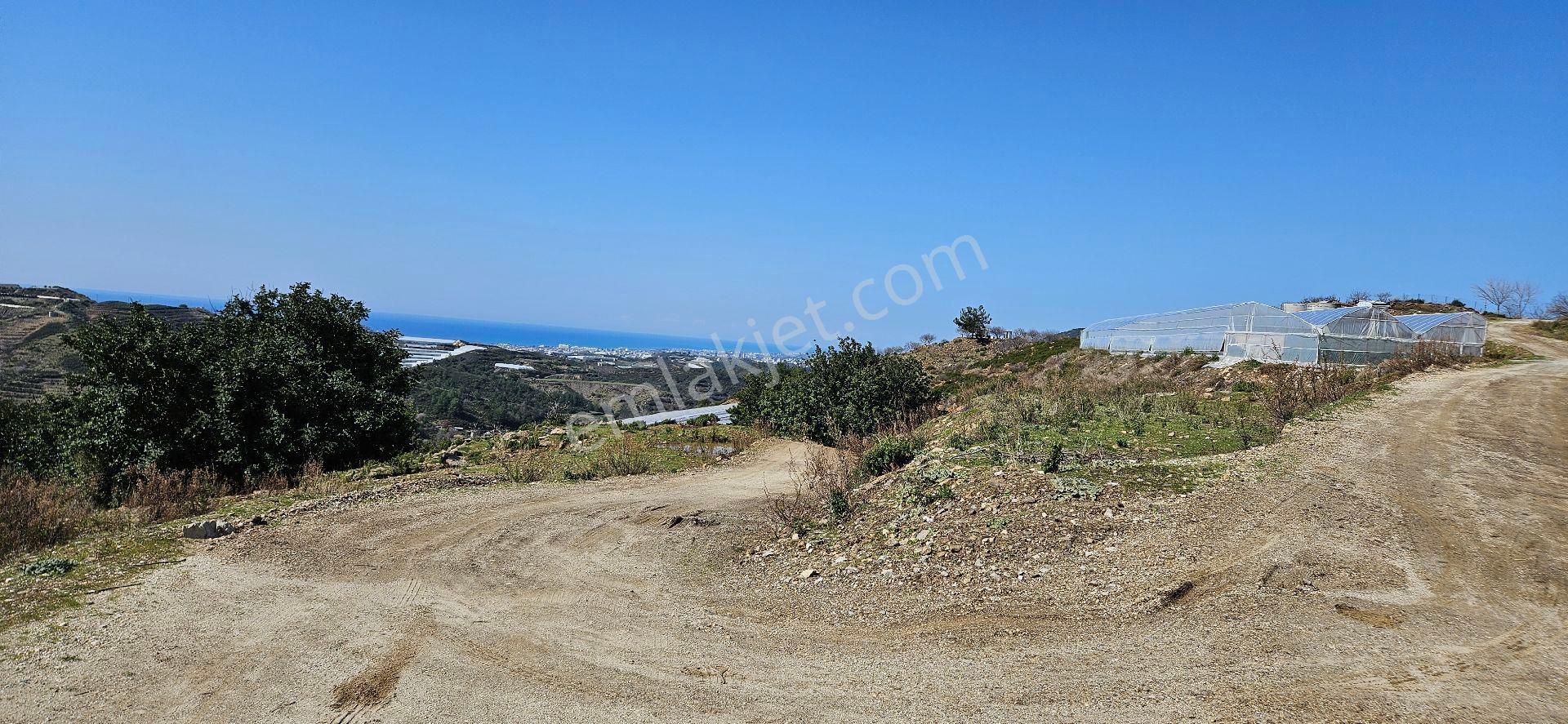 Eren Emlak'tan Alanya Yeni Köyde Deniz Manzaralı Satılık Tarla Araç Takası Olur - Görsel 4