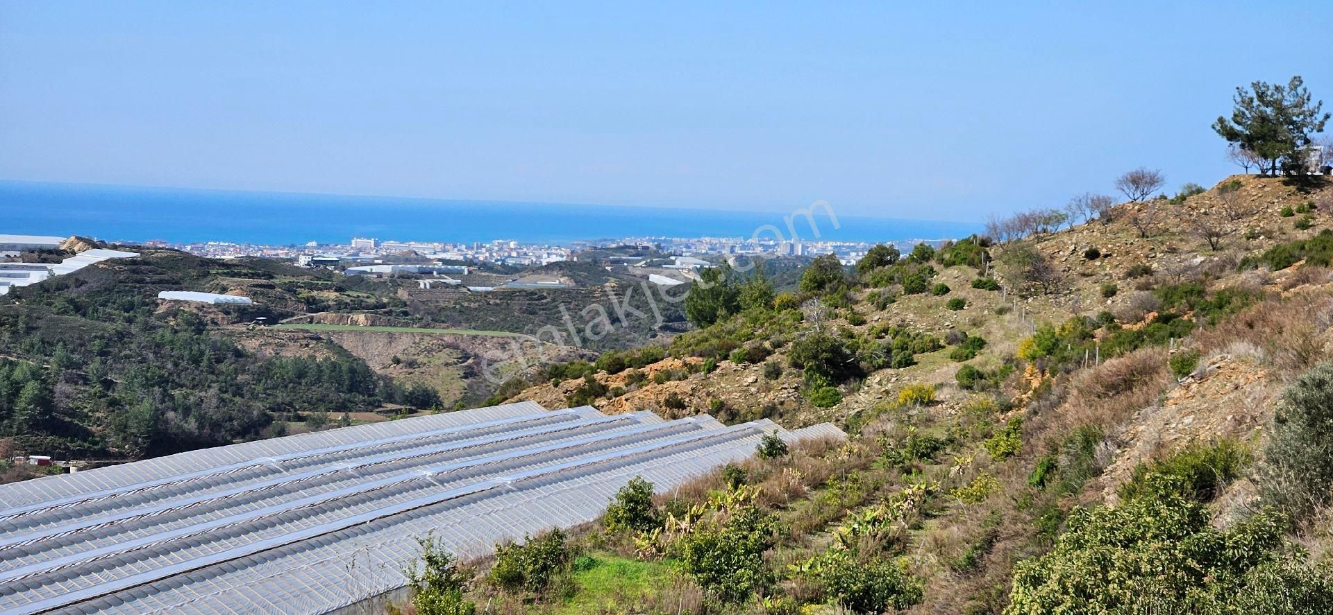Eren Emlak'tan Alanya Yeni Köyde Deniz Manzaralı Satılık Tarla Araç Takası Olur - Görsel 6