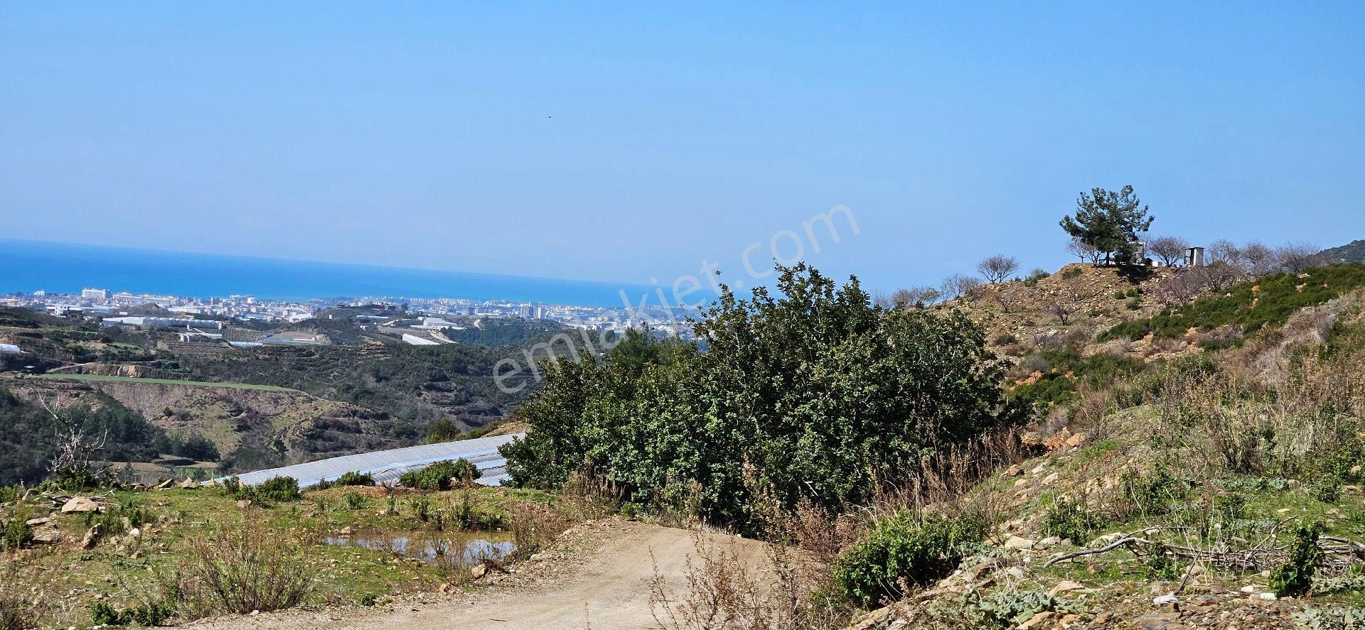 Eren Emlak'tan Alanya Yeni Köyde Deniz Manzaralı Satılık Tarla Araç Takası Olur - Görsel 3