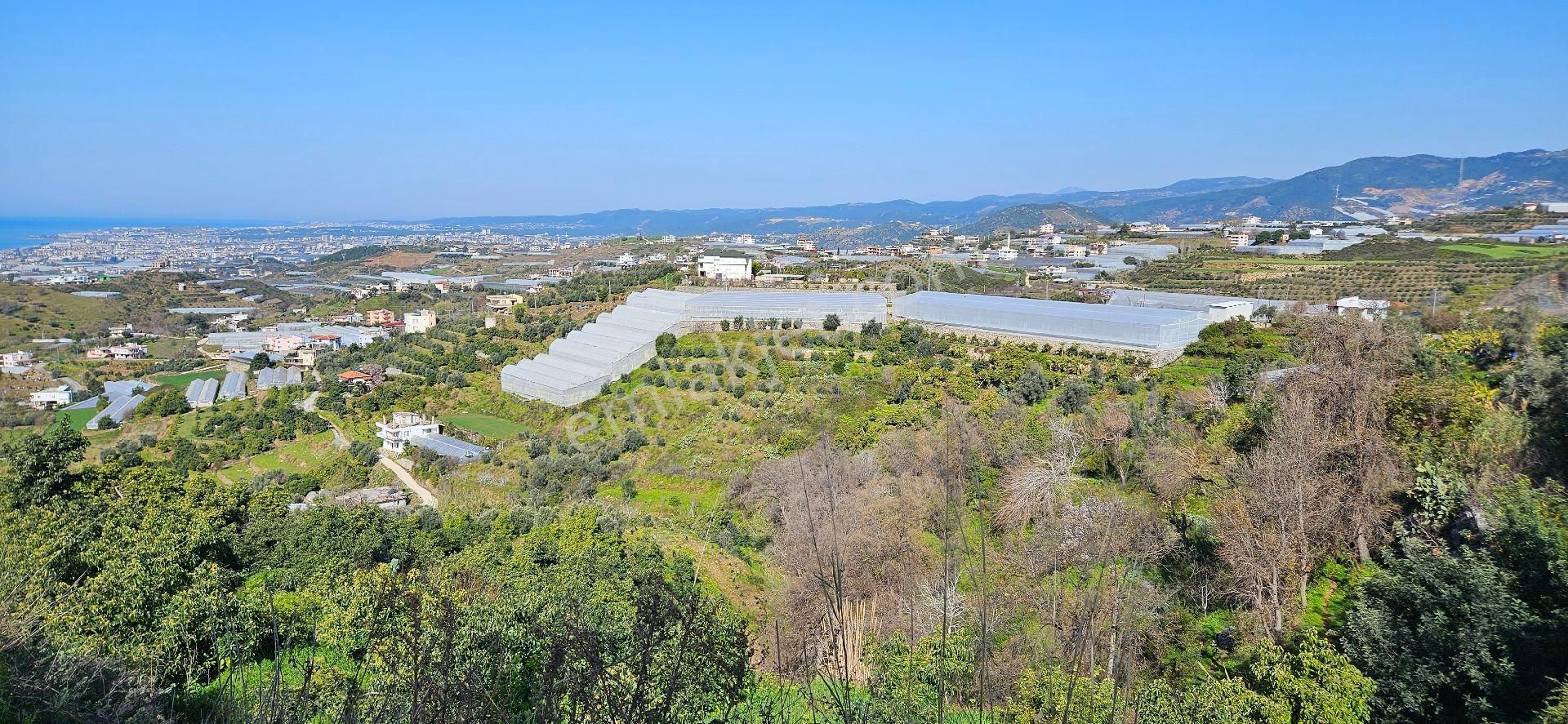 Eren Emlak'tan Alanya Yeni Köyde Deniz Manzaralı Satılık Tarla Araç Takası Olur - Görsel 25