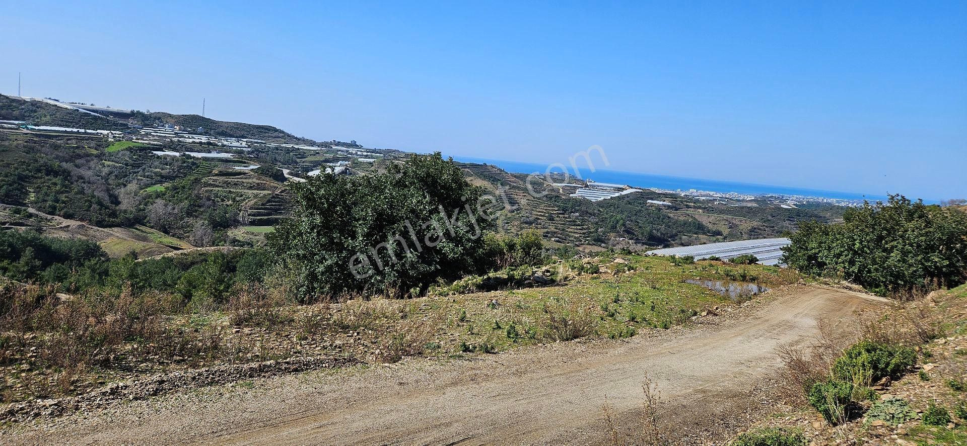 Eren Emlak'tan Alanya Yeni Köyde Deniz Manzaralı Satılık Tarla Araç Takası Olur - Görsel 16