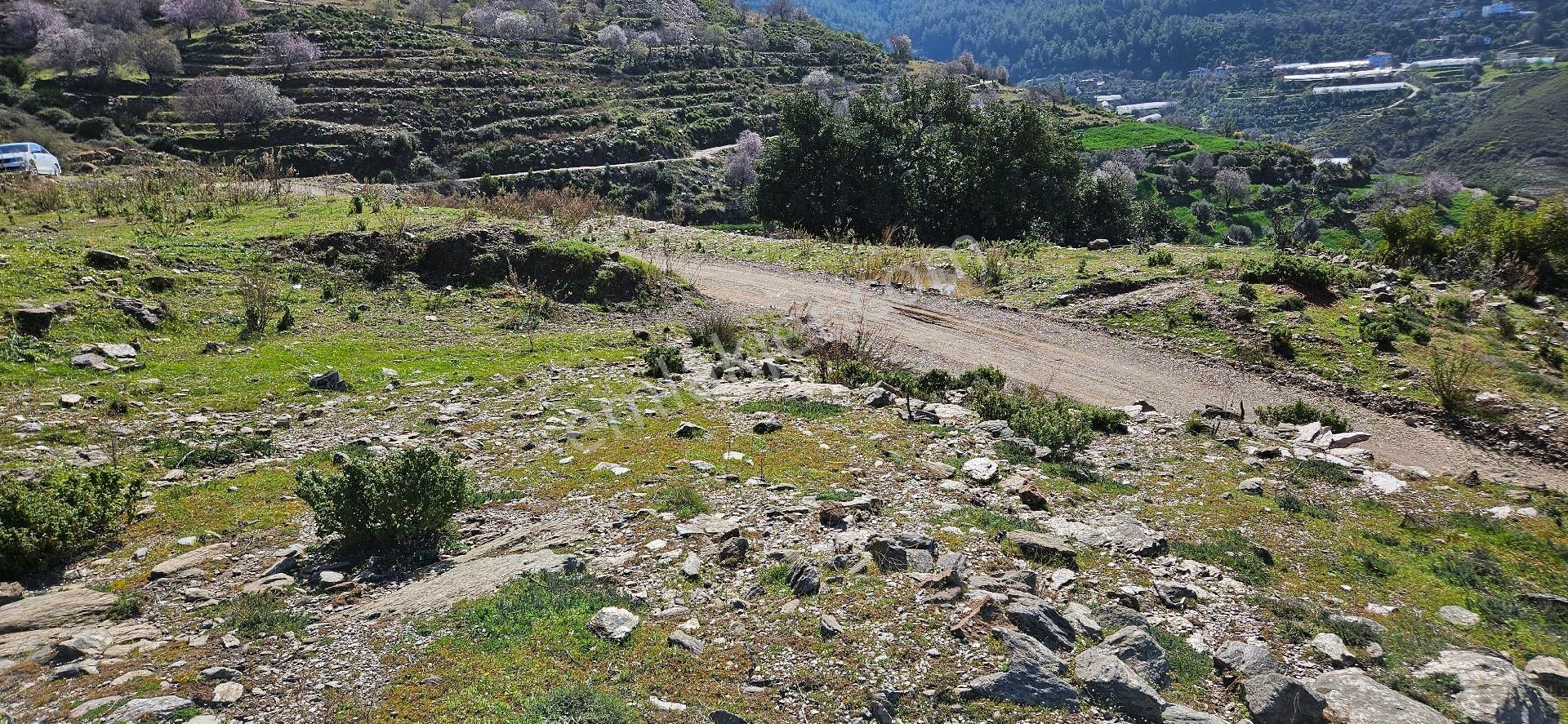 Eren Emlak'tan Alanya Yeni Köyde Deniz Manzaralı Satılık Tarla Araç Takası Olur - Görsel 9