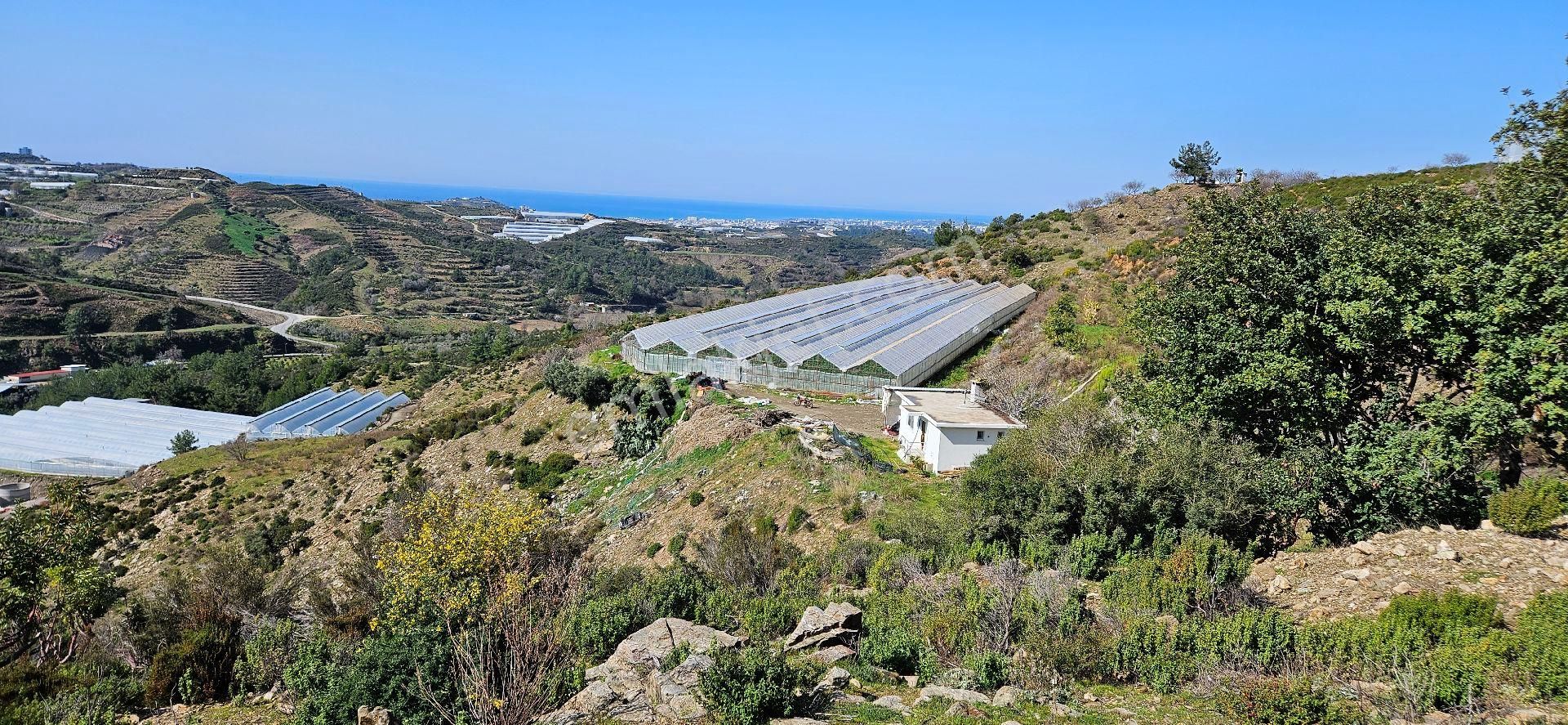 Eren Emlak'tan Alanya Yeni Köyde Deniz Manzaralı Satılık Tarla Araç Takası Olur - Görsel 13