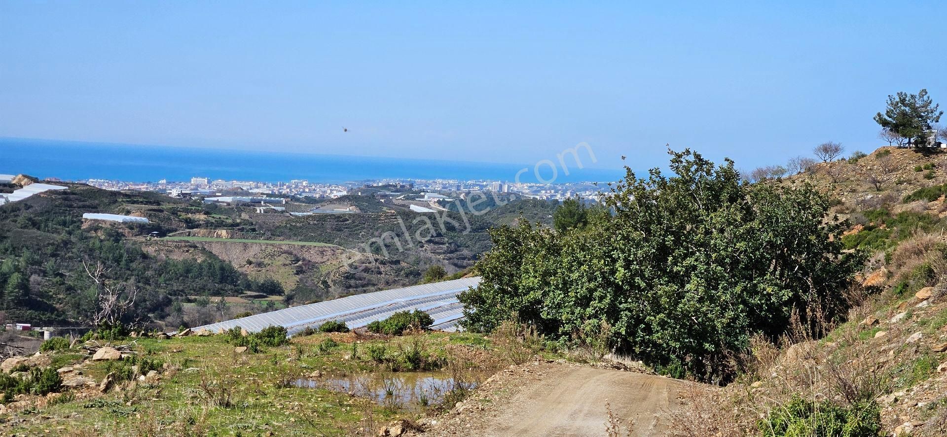 Eren Emlak'tan Alanya Yeni Köyde Deniz Manzaralı Satılık Tarla Araç Takası Olur - Görsel 18