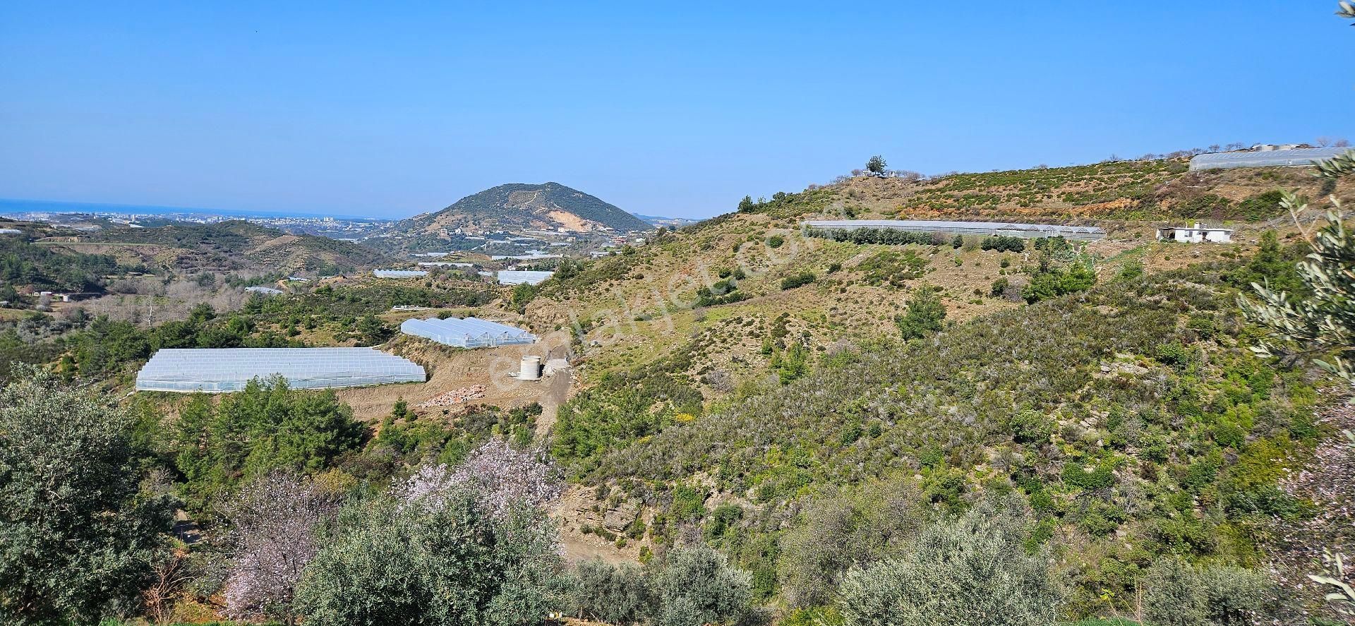 Eren Emlak'tan Alanya Yeni Köyde Deniz Manzaralı Satılık Tarla Araç Takası Olur - Görsel 22