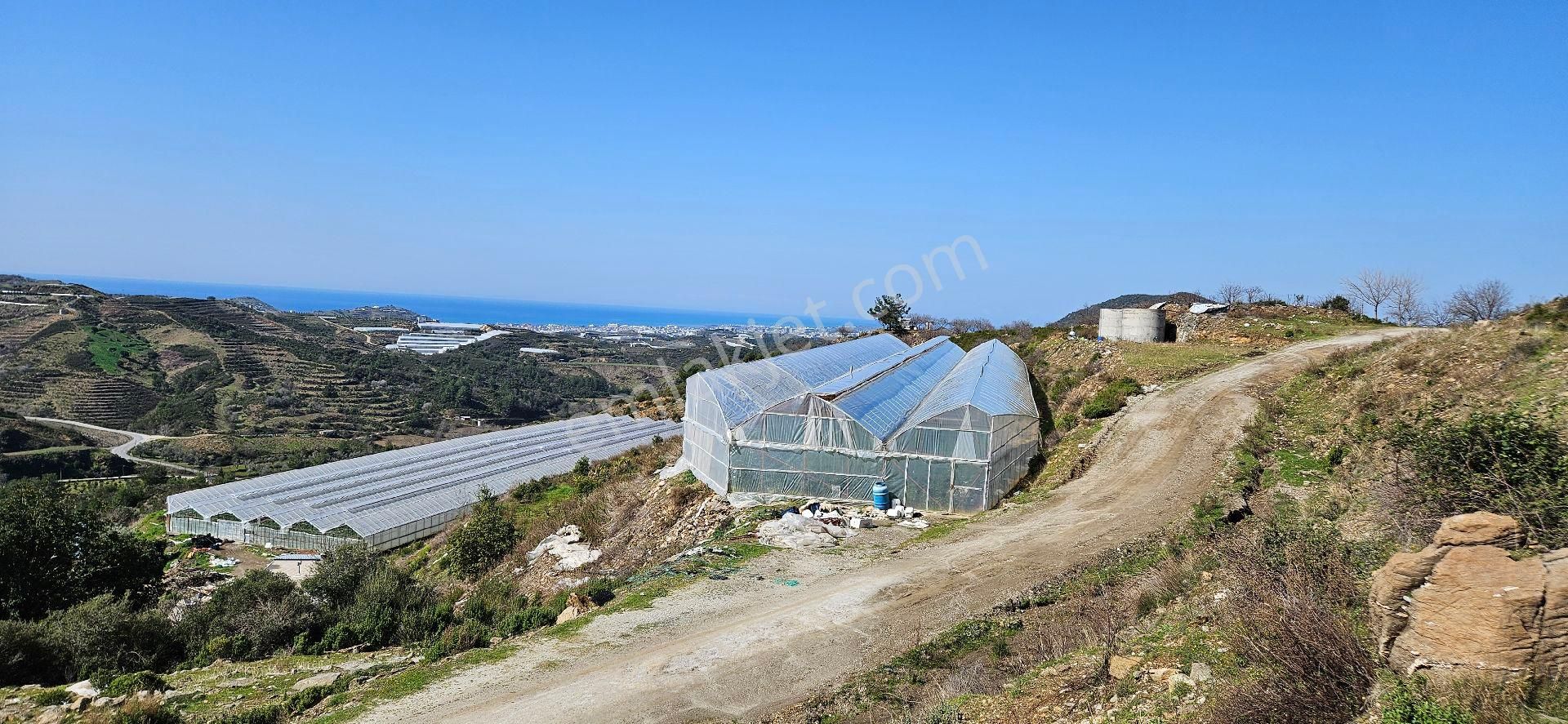 Eren Emlak'tan Alanya Yeni Köyde Deniz Manzaralı Satılık Tarla Araç Takası Olur - Görsel 2