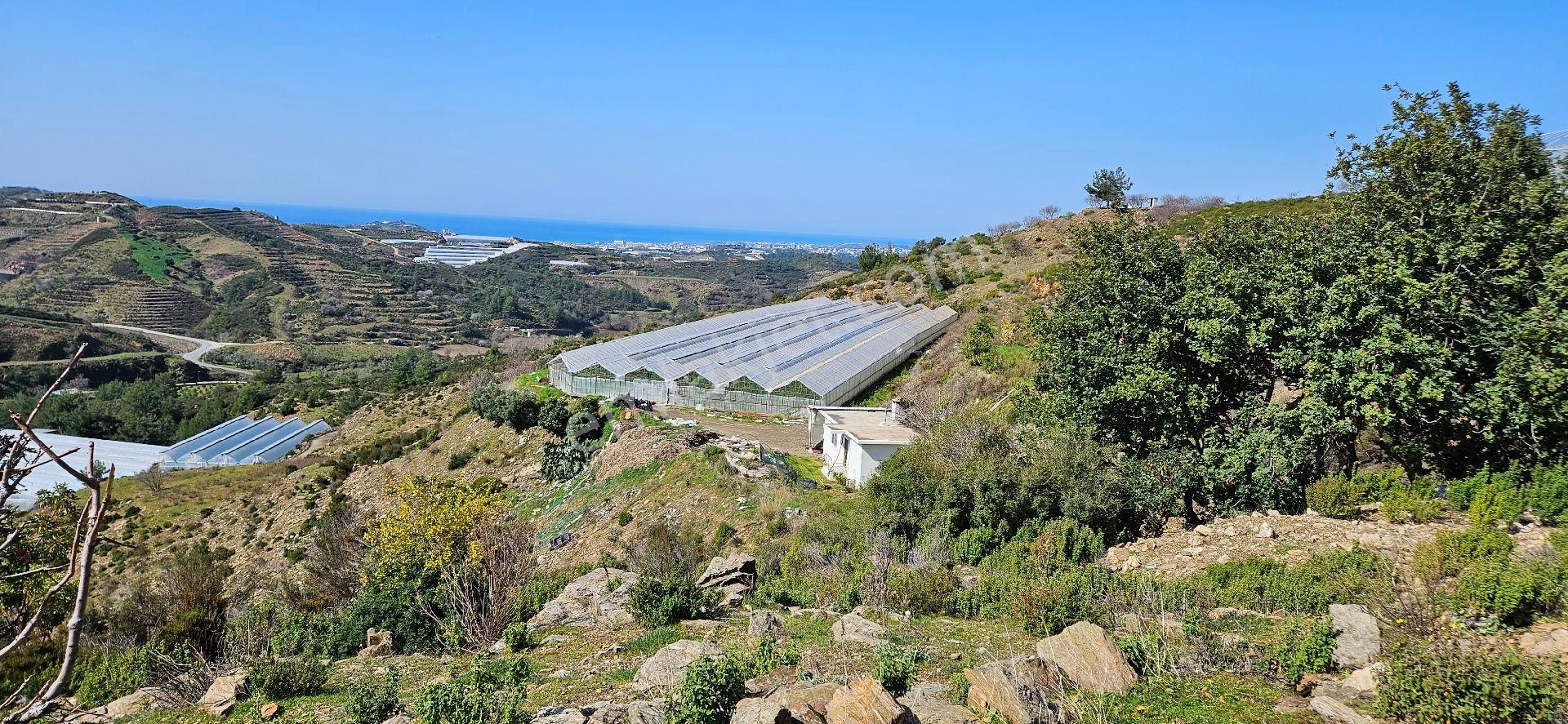 Eren Emlak'tan Alanya Yeni Köyde Deniz Manzaralı Satılık Tarla Araç Takası Olur - Görsel 11