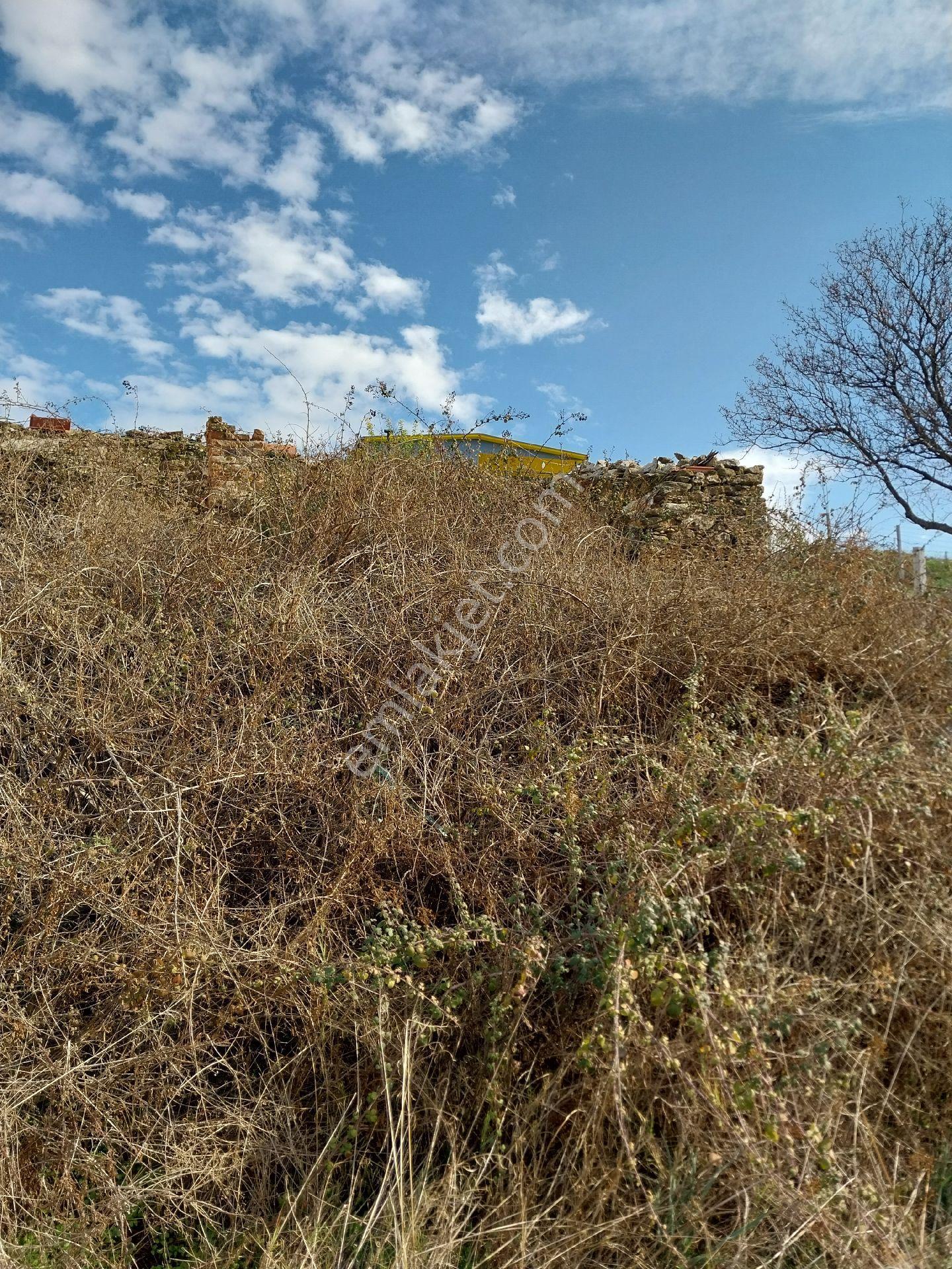 Aydın Efeler Baltaköyde Konut/villa İmarlı 770 M2 Arsa - Görsel 22