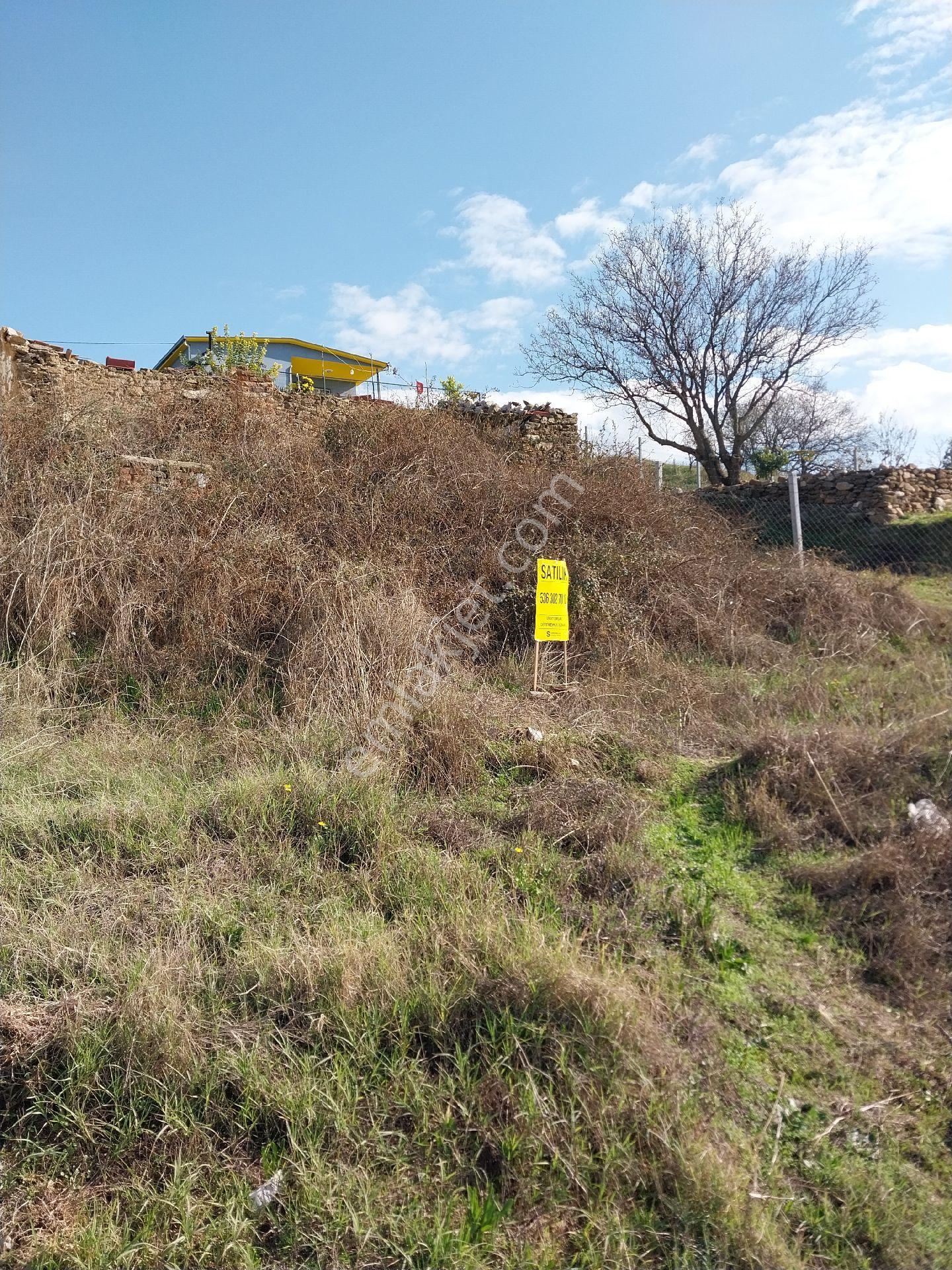 Aydın Efeler Baltaköyde Konut/villa İmarlı 770 M2 Arsa - Görsel 34