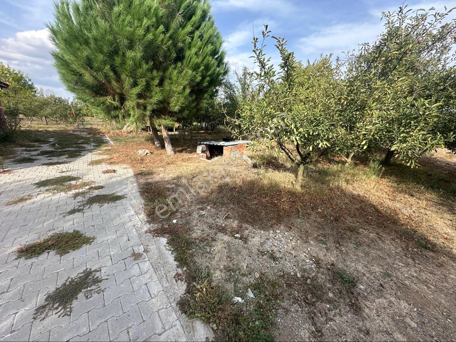 Al-ya Gayrimenkulden Satılık 12 Dönüm Arazi İçerisinde Hazır Çiftlik - Görsel 19