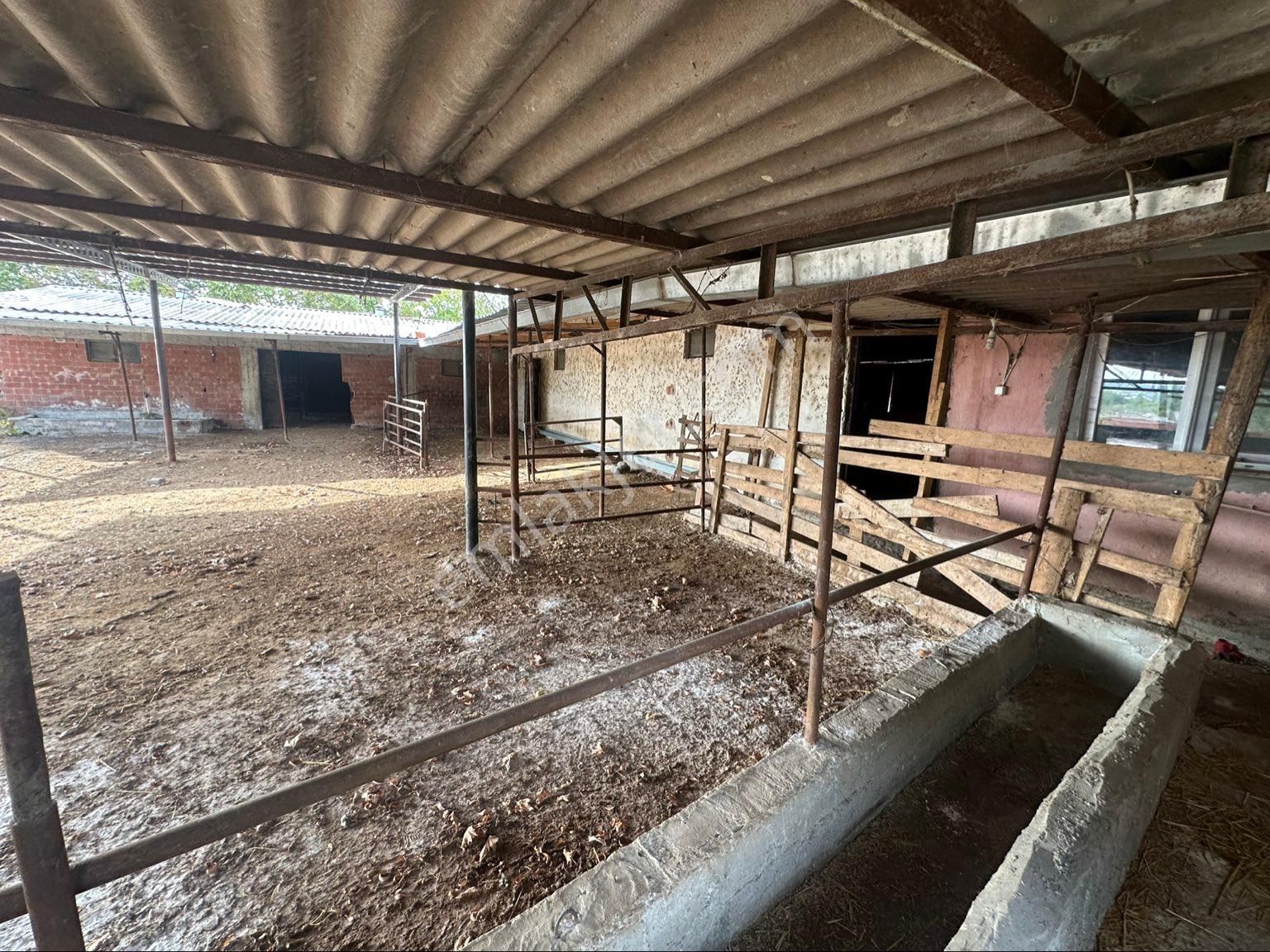 Al-ya Gayrimenkulden Satılık 12 Dönüm Arazi İçerisinde Hazır Çiftlik - Görsel 17