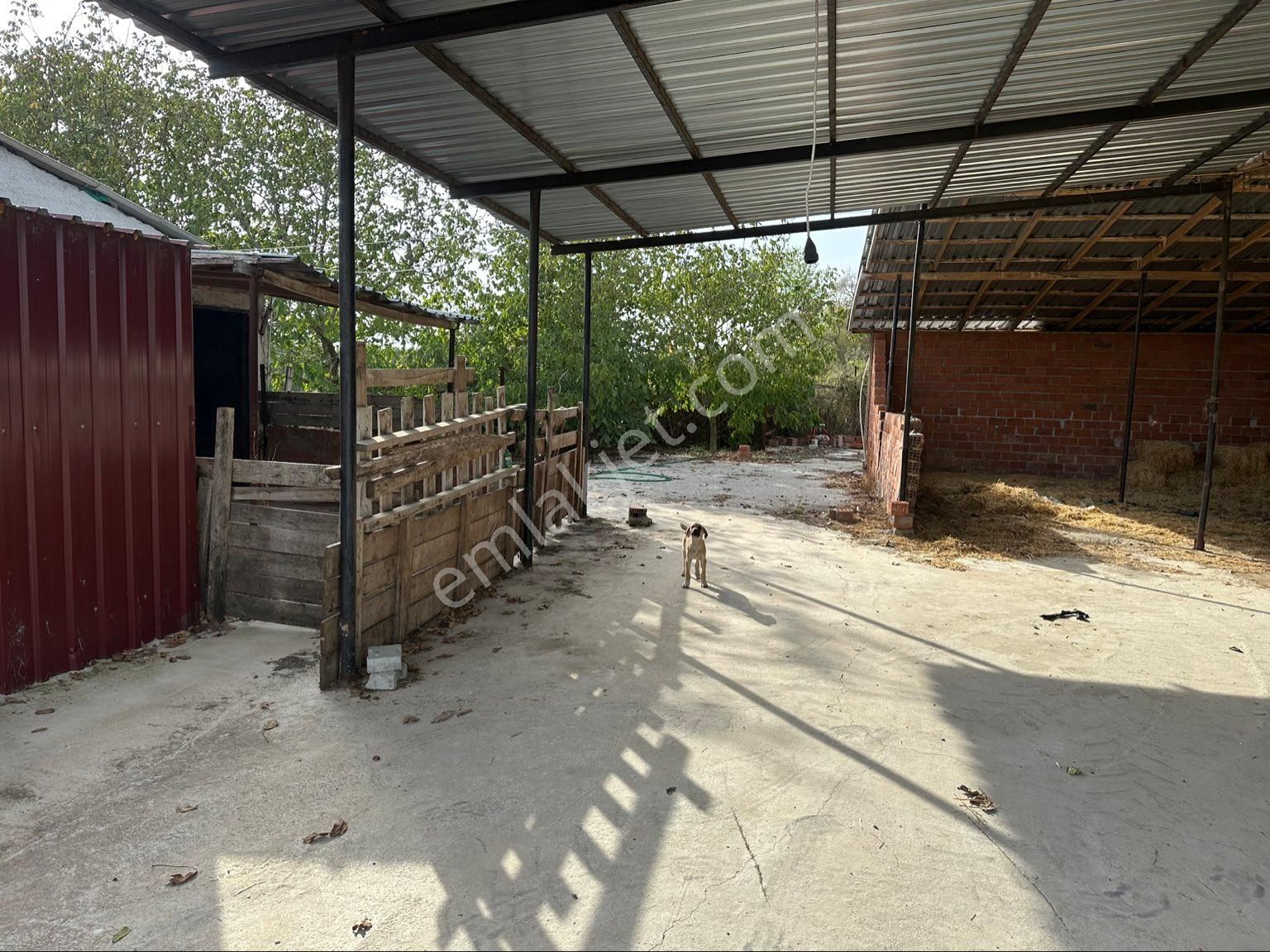 Al-ya Gayrimenkulden Satılık 12 Dönüm Arazi İçerisinde Hazır Çiftlik - Görsel 26