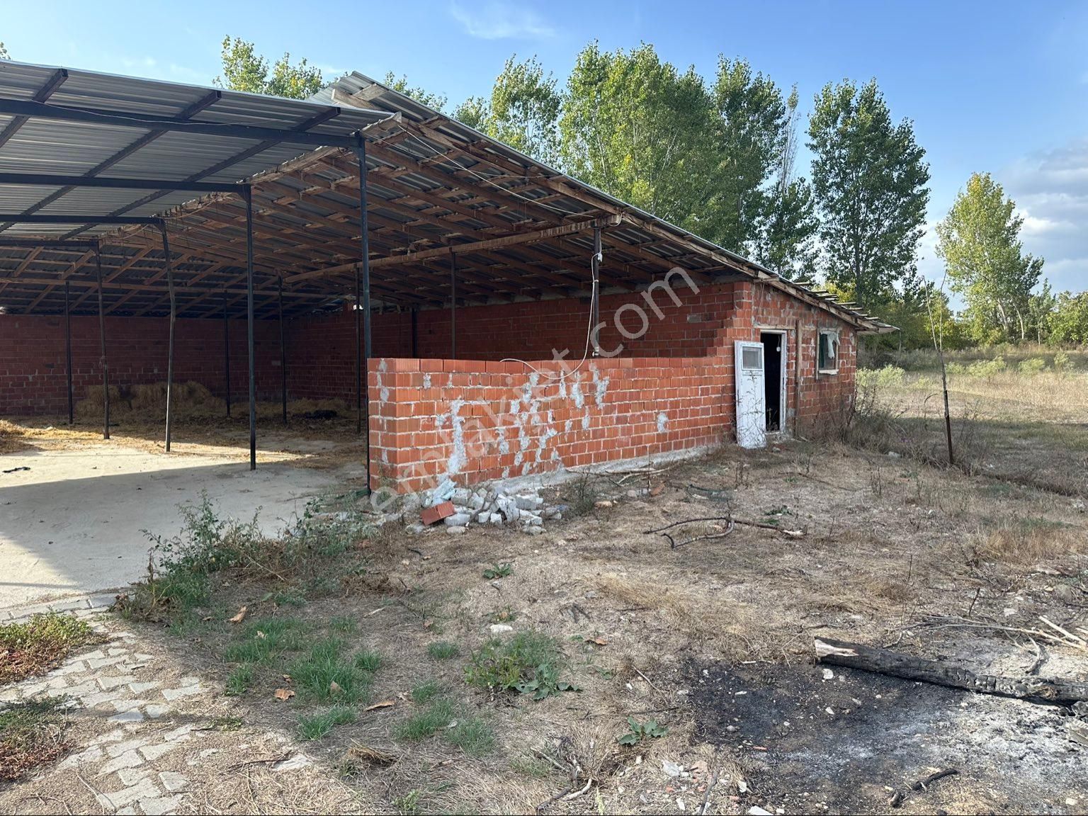 Al-ya Gayrimenkulden Satılık 12 Dönüm Arazi İçerisinde Hazır Çiftlik - Görsel 24