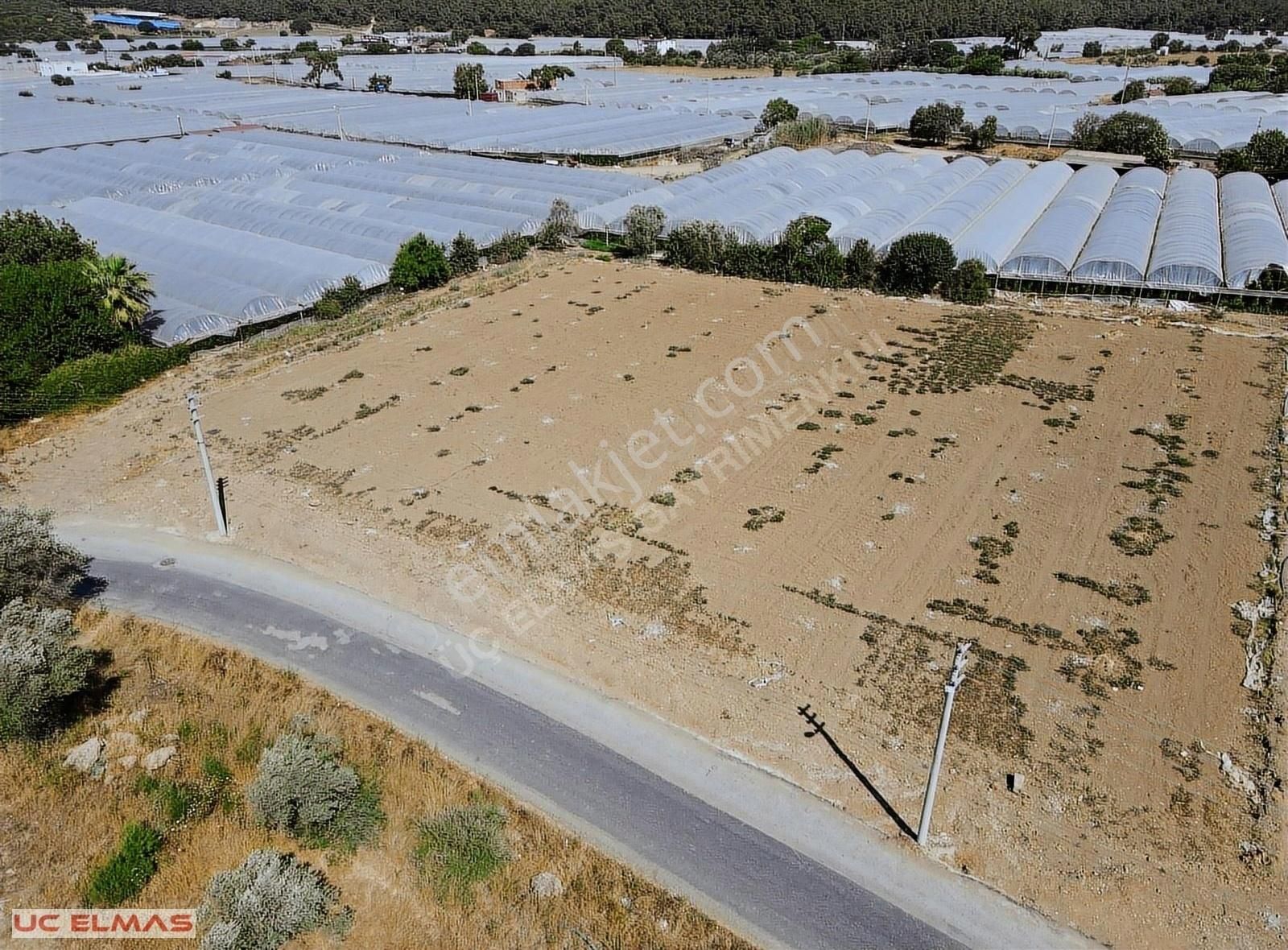 Menderes Çamönü Satılık Bağ & Bahçe Üç Elmastan Köy Yaşamı İçerisinde 230 M²harika Bir Yaşam Alanı