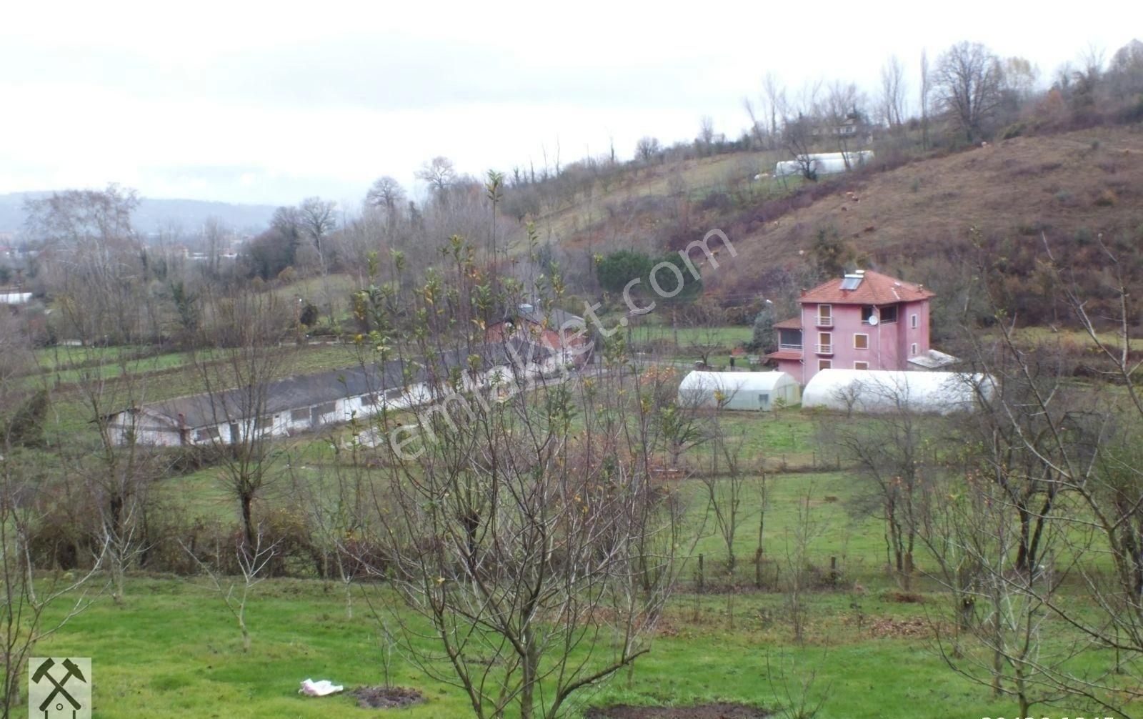 Çaycuma Geriş Köyü (Çay) Satılık Müstakil İşyeri Satılık Tavuk Kümesi ve  üç Katlı Ttribleks Villası