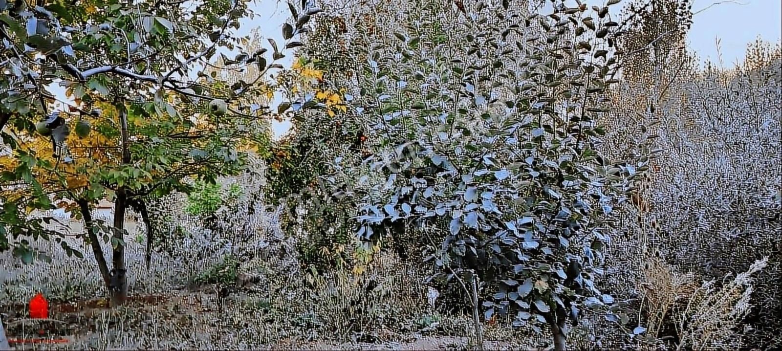 Başarakavak 1121m2 Önü Asfalt Arkası Dereye Cephe Meyve Bahçesi - Görsel 21