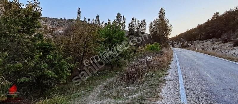 Başarakavak 1121m2 Önü Asfalt Arkası Dereye Cephe Meyve Bahçesi - Görsel 10