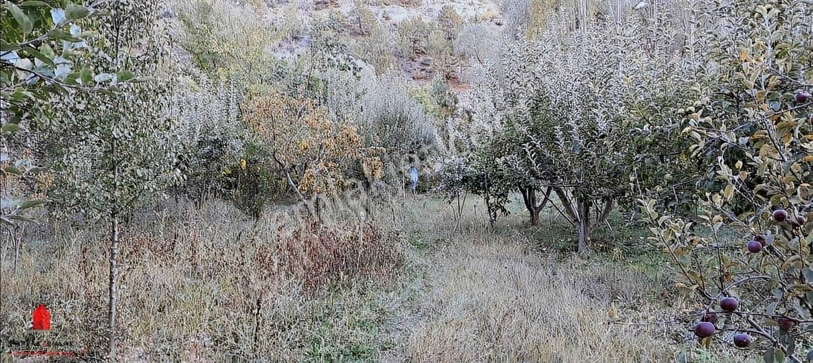 Başarakavak 1121m2 Önü Asfalt Arkası Dereye Cephe Meyve Bahçesi - Görsel 18