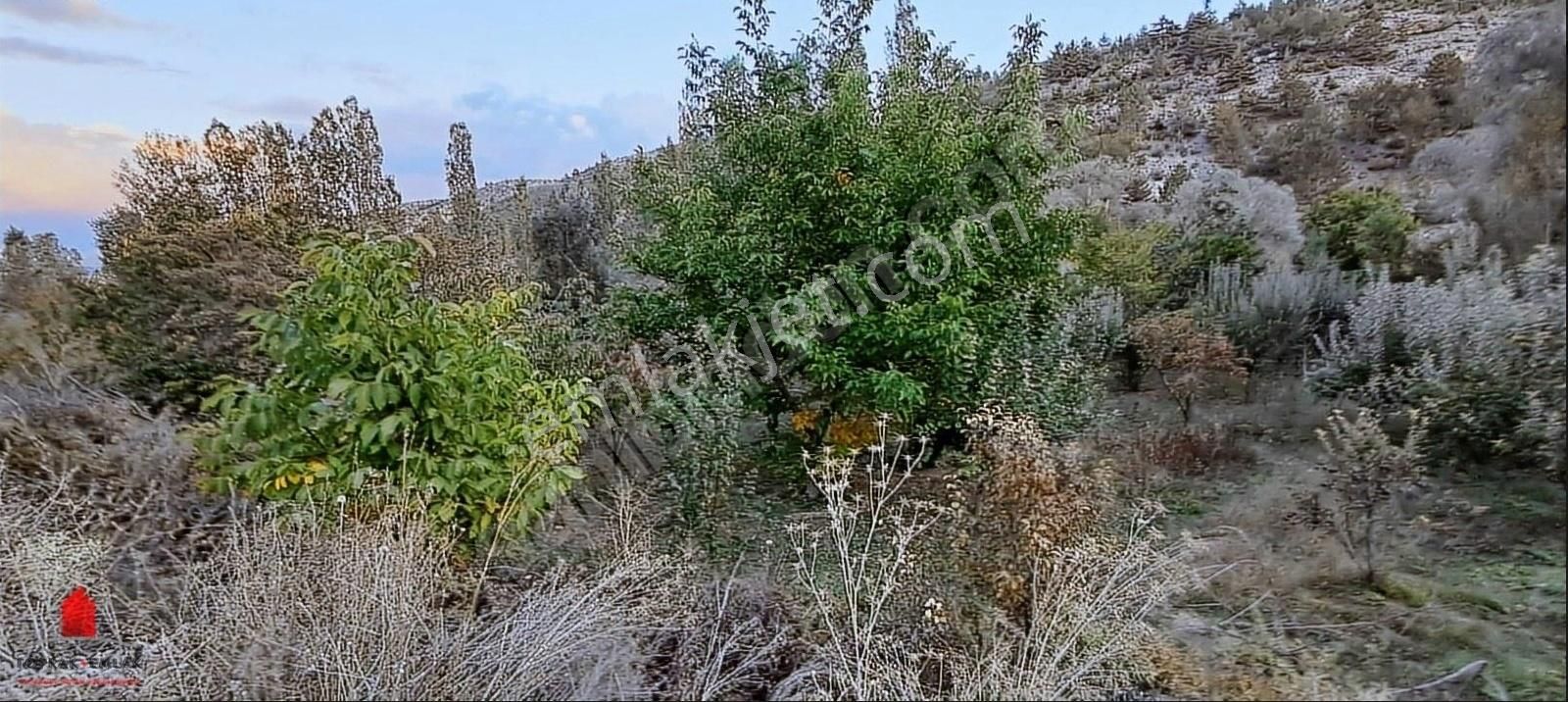 Başarakavak 1121m2 Önü Asfalt Arkası Dereye Cephe Meyve Bahçesi - Görsel 17