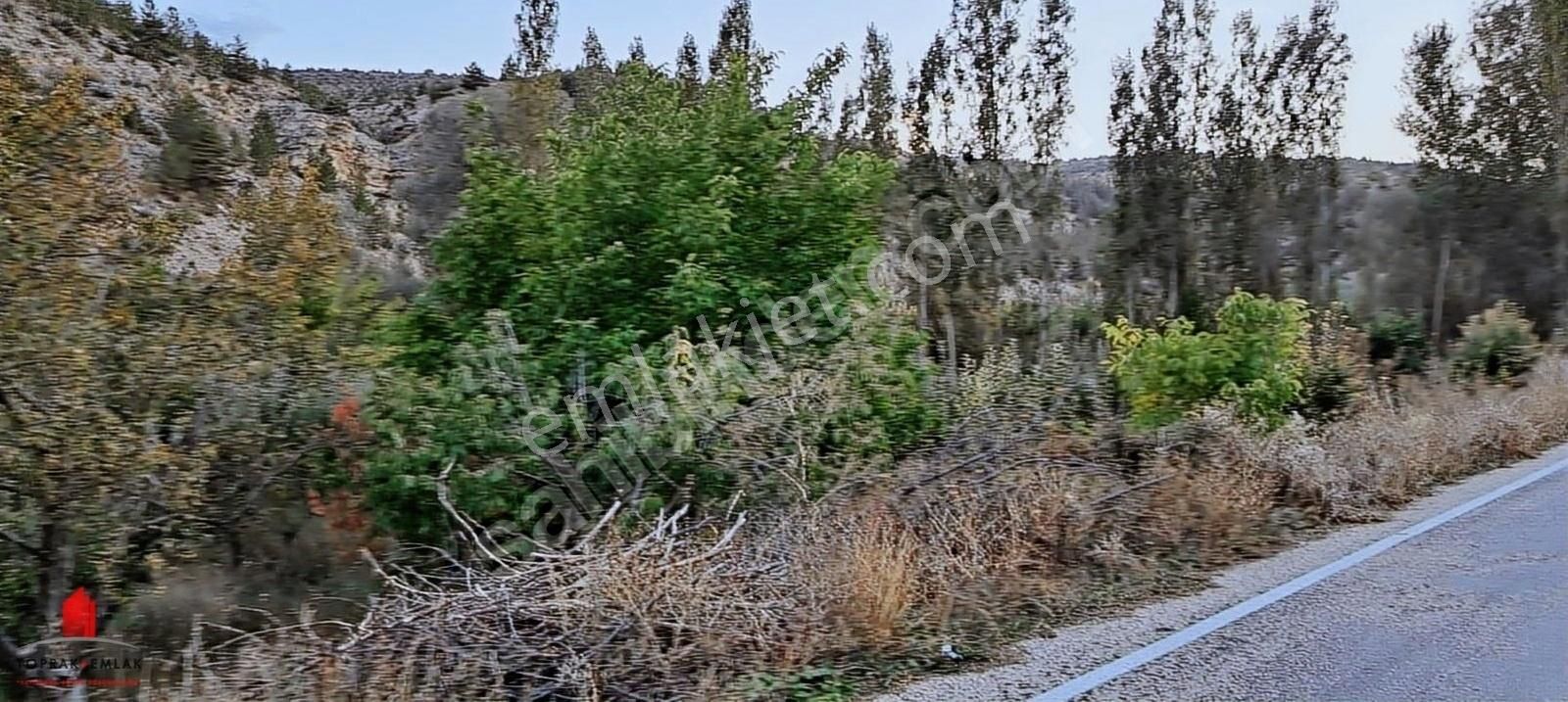 Başarakavak 1121m2 Önü Asfalt Arkası Dereye Cephe Meyve Bahçesi - Görsel 16