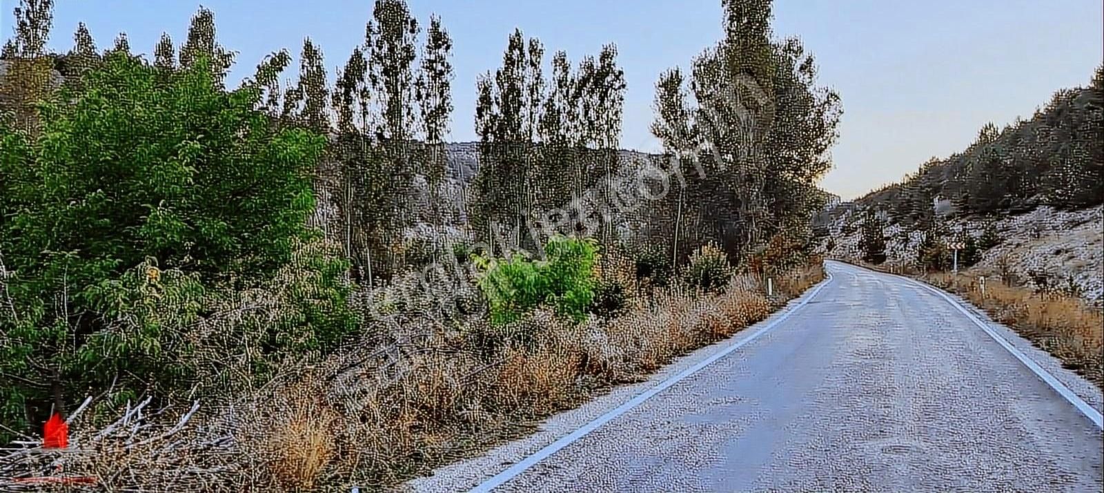 Başarakavak 1121m2 Önü Asfalt Arkası Dereye Cephe Meyve Bahçesi - Görsel 19