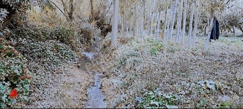 Başarakavak 1121m2 Önü Asfalt Arkası Dereye Cephe Meyve Bahçesi - Görsel 9