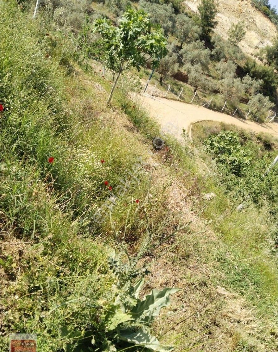 Torbalı Ormanköy Satılık Bağ & Bahçe Torbalı Orman Köyünde Satılık Bahçe