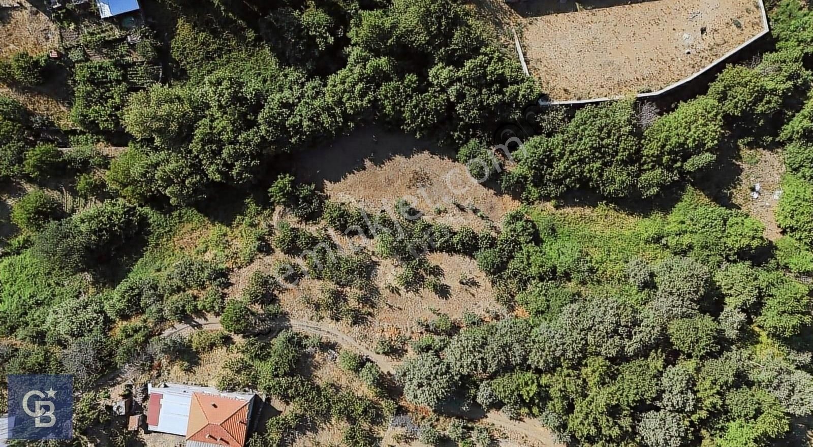 Kemalpaşa Kamberler Satılık Tarla Erdem Süren'den Kamberler de Dere Kenarı Bahçe