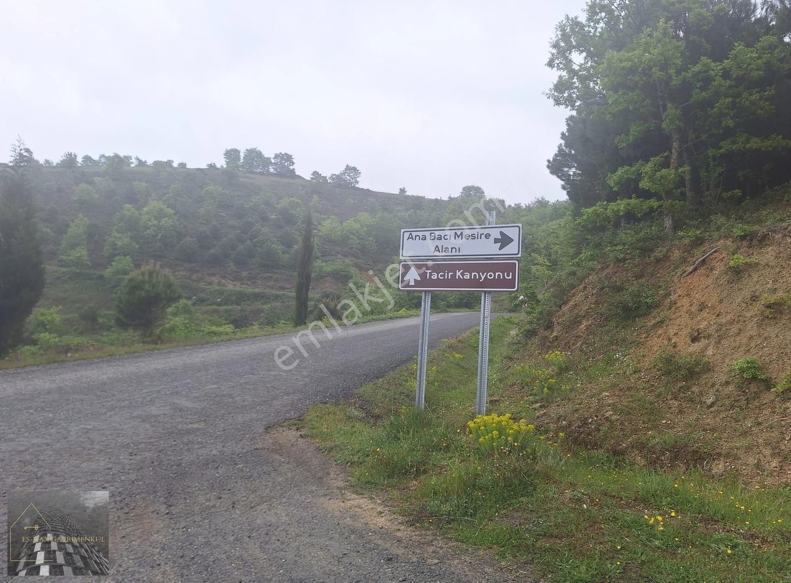 İznik Tacir Satılık Tarla İznik Tacir Kanyon Üzeri Yola Cephe Tek Parça Satılık Tarla