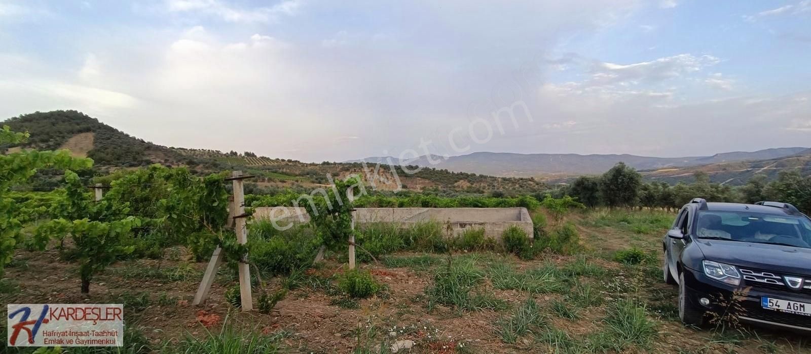 Pamukova Ahılar Mah. Bakımlı Müşküle Cinsi Telli Üzüm Bağı - Görsel 2