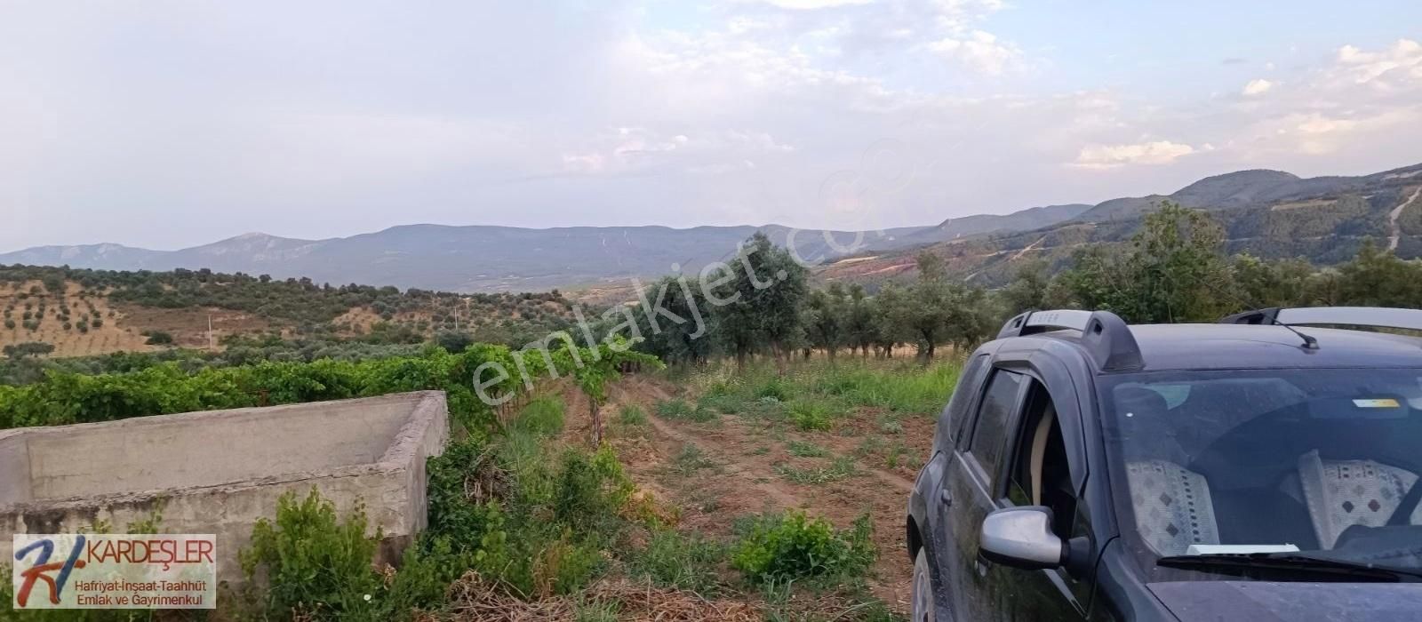 Pamukova Ahılar Mah. Bakımlı Müşküle Cinsi Telli Üzüm Bağı - Görsel 16