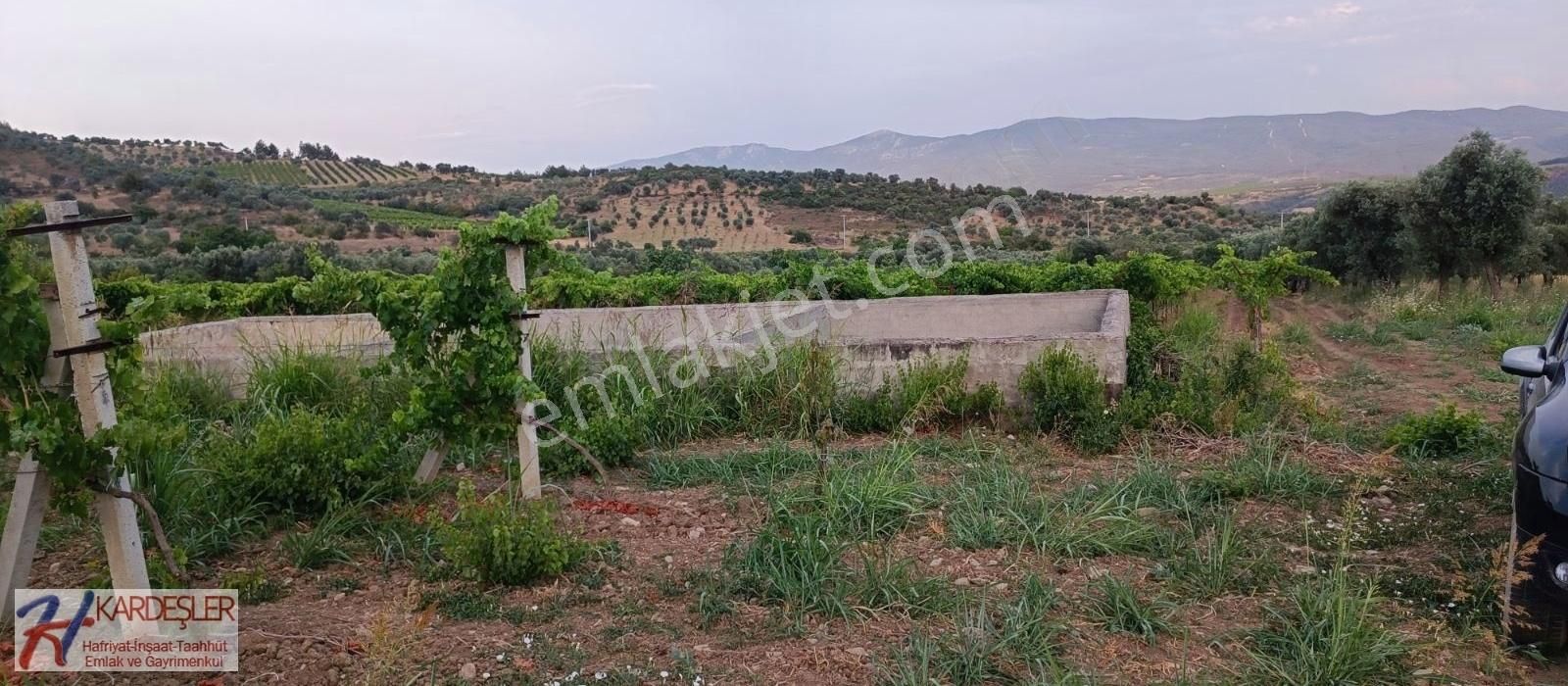 Pamukova Ahılar Mah. Bakımlı Müşküle Cinsi Telli Üzüm Bağı - Görsel 14