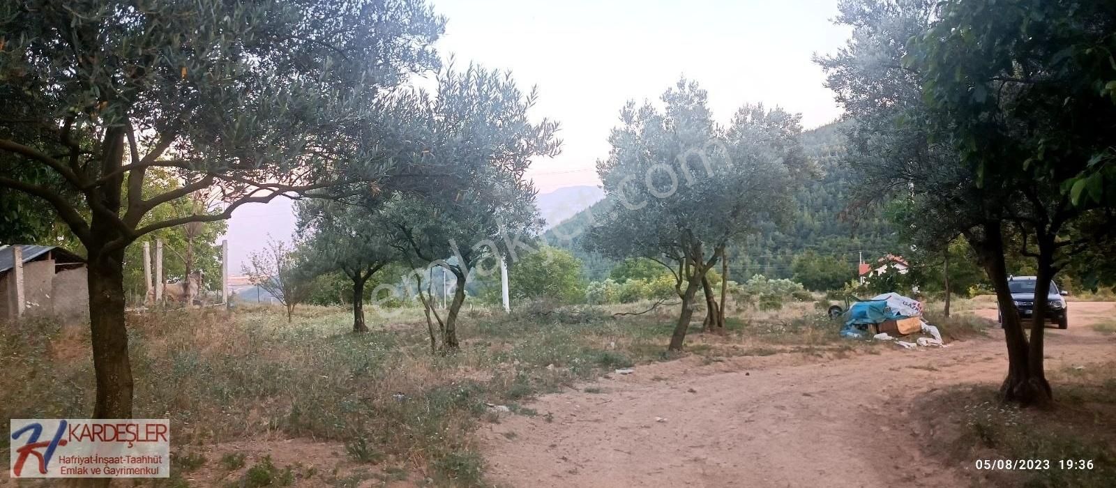 Sakarya Pamukova Boşnak Mah Havadar Manzaralı Arazi - Görsel 32