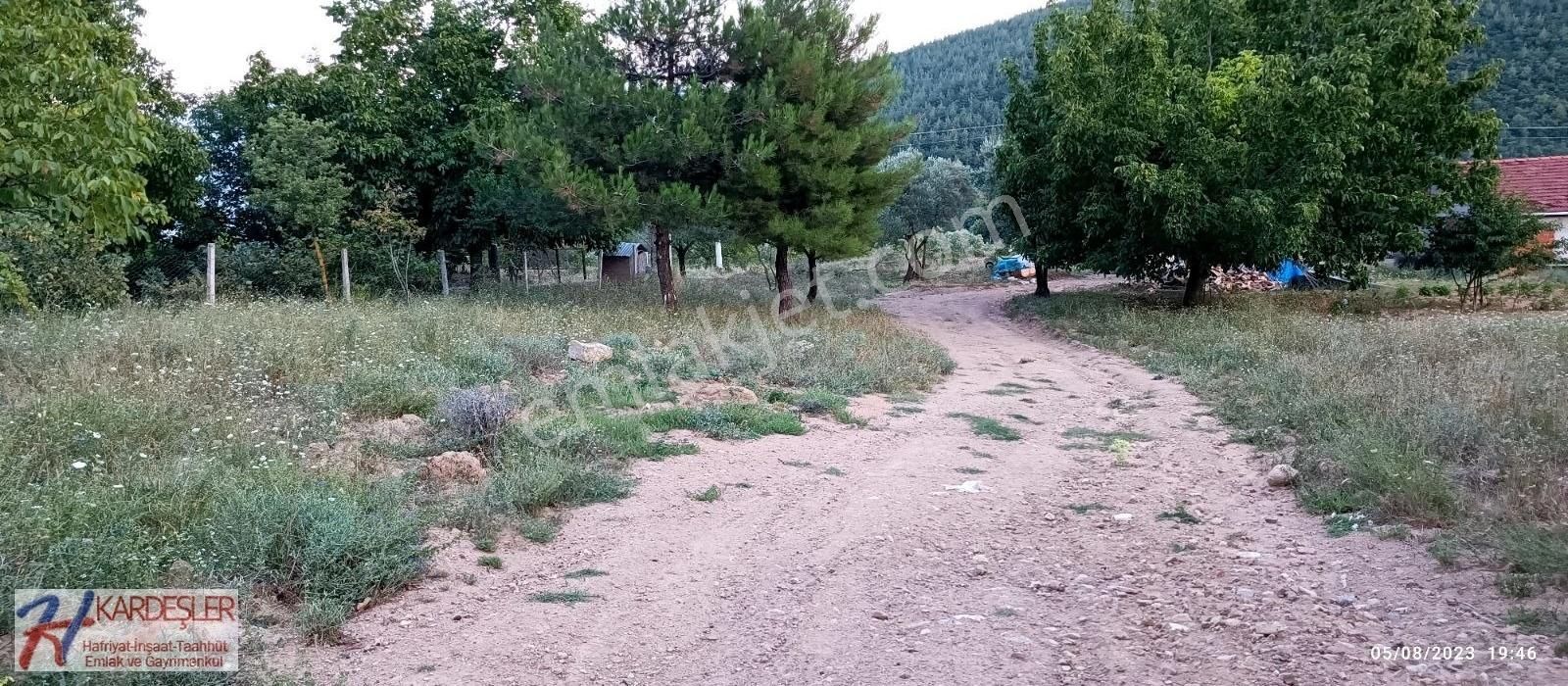 Sakarya Pamukova Boşnak Mah Havadar Manzaralı Arazi - Görsel 18