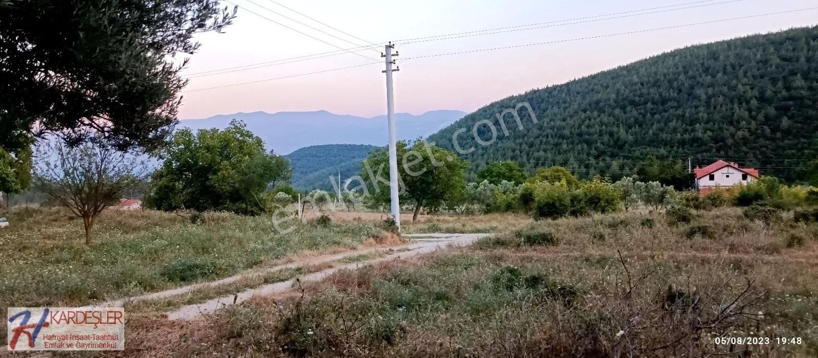Sakarya Pamukova Boşnak Mah Havadar Manzaralı Arazi - Görsel 3