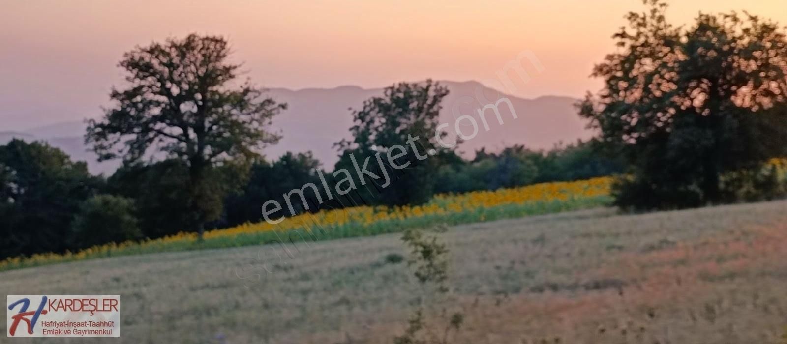 Geyve Doğancıl Satılık Tarla Doğancıl Mahallesinde Yatırımlık Verimli Arazi