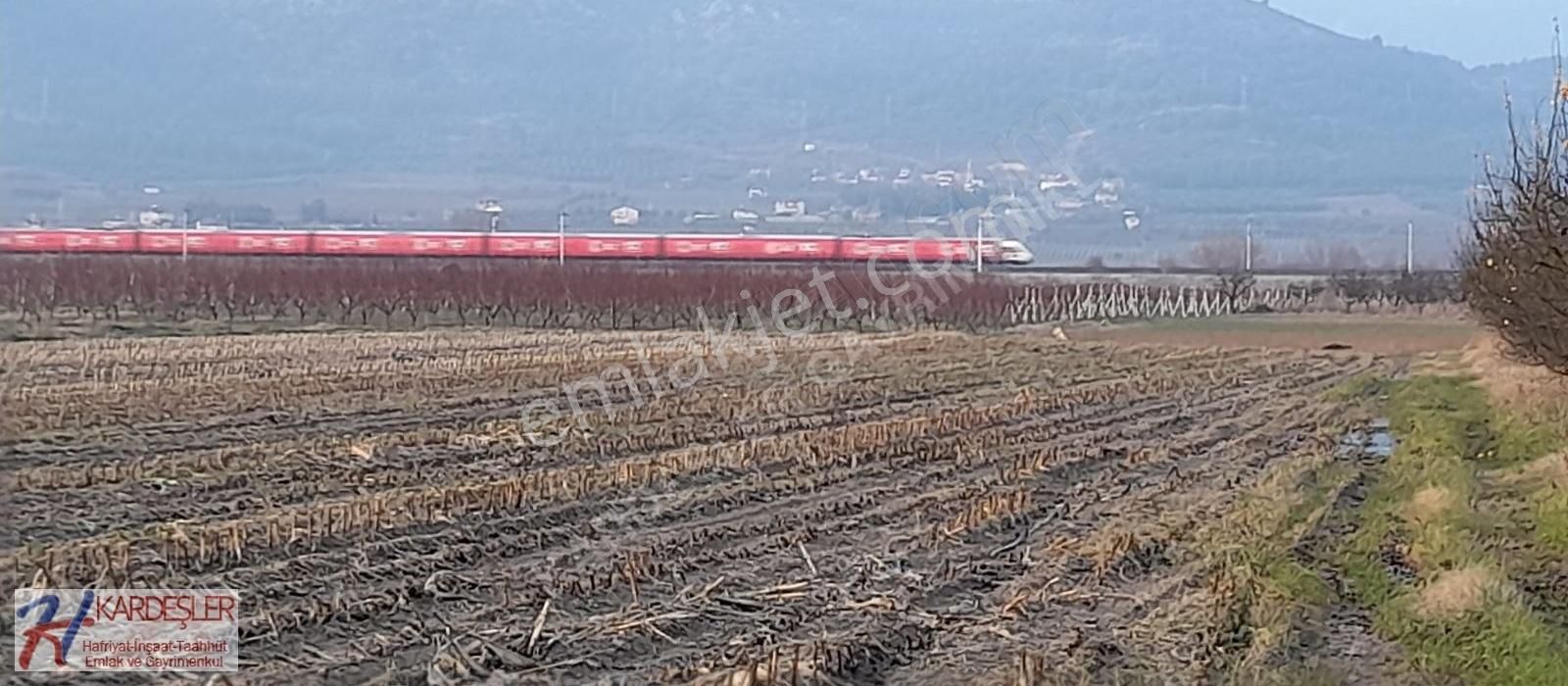 Pamukova Oruçlu Satılık Tarla Sakarya Pamukova Oruçlu Mah Yola Cephe Yatırımlık Verimli Arazi