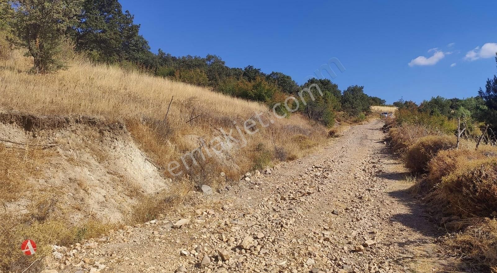 Bayramiç Kurşunlu Köyü Satılık Tarla Çanakkale, Bayramiç, Kurşunlu Köyü, 5.292 m2 Satılık Arazi