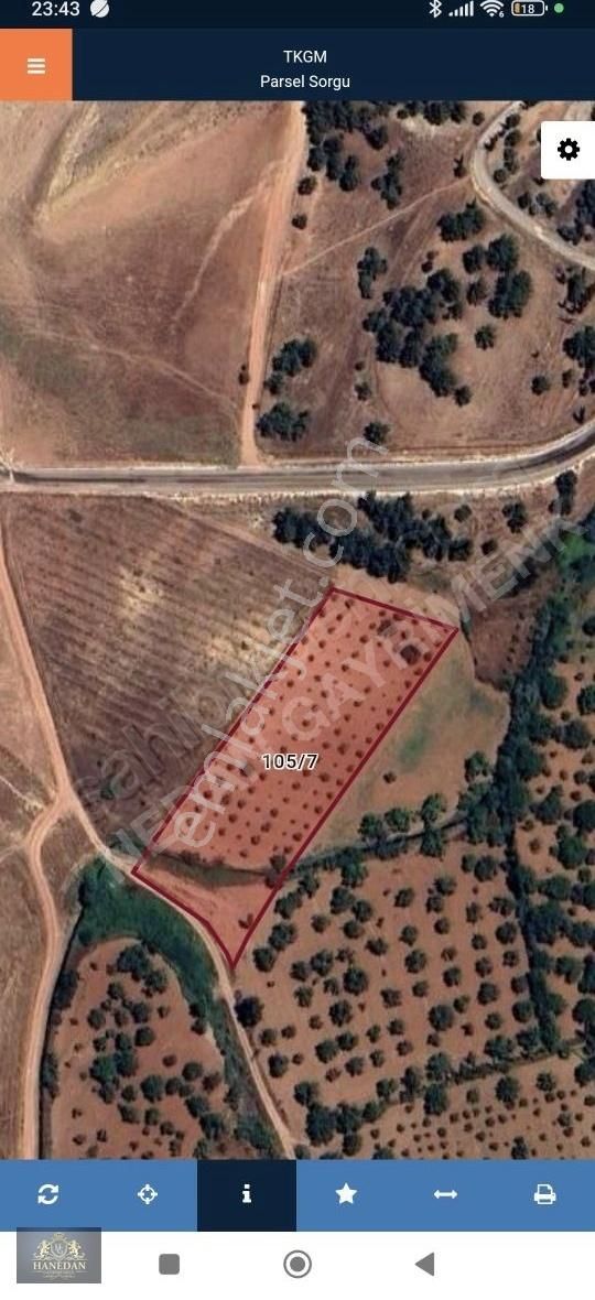 Burç Göleti Yanın'da Satılık Bagevlik Zeytinlik Hanedan Emlak'ta - Görsel 2