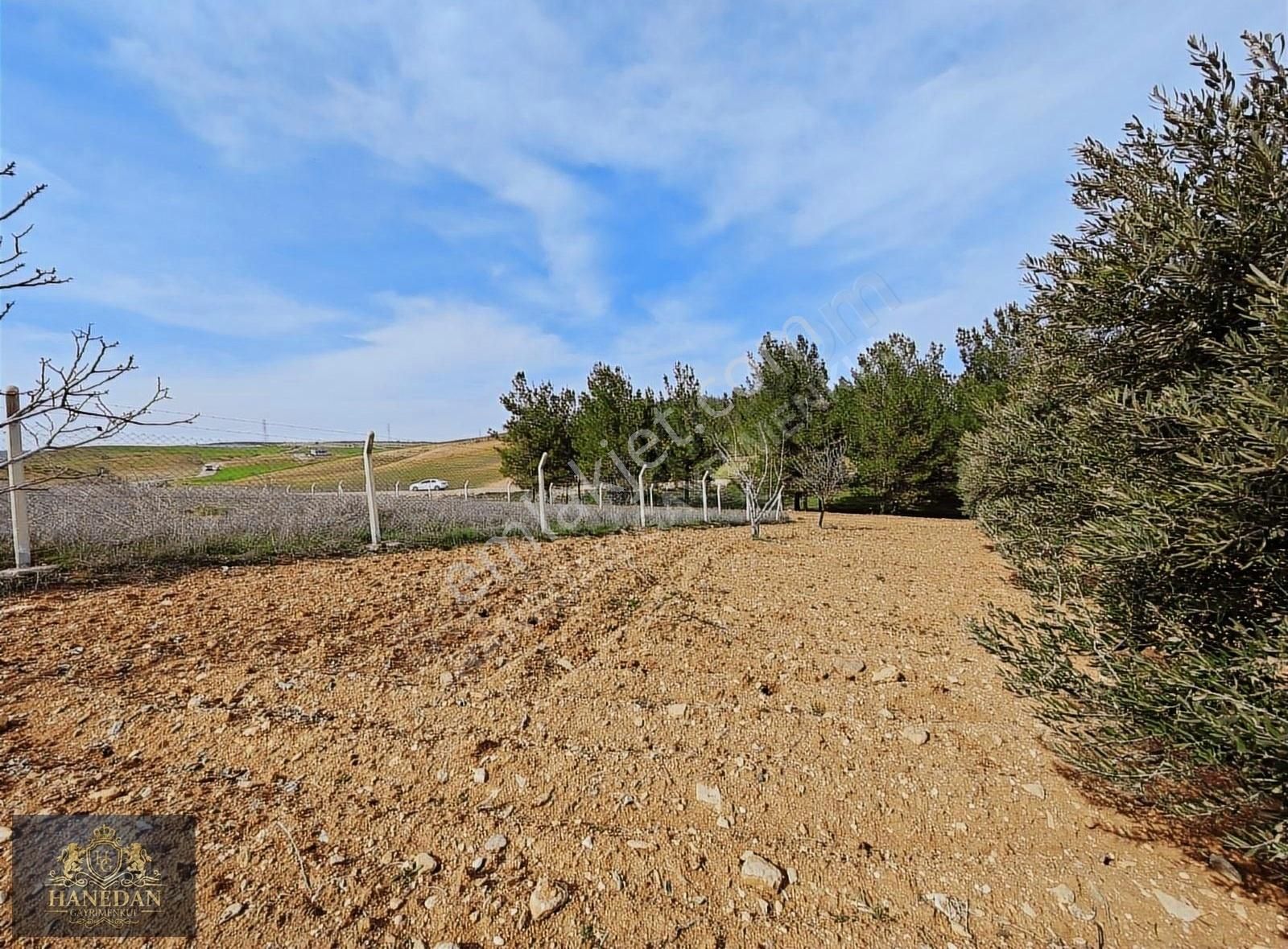 Burç Göleti Yanın'da Satılık Bagevlik Zeytinlik Hanedan Emlak'ta - Görsel 16