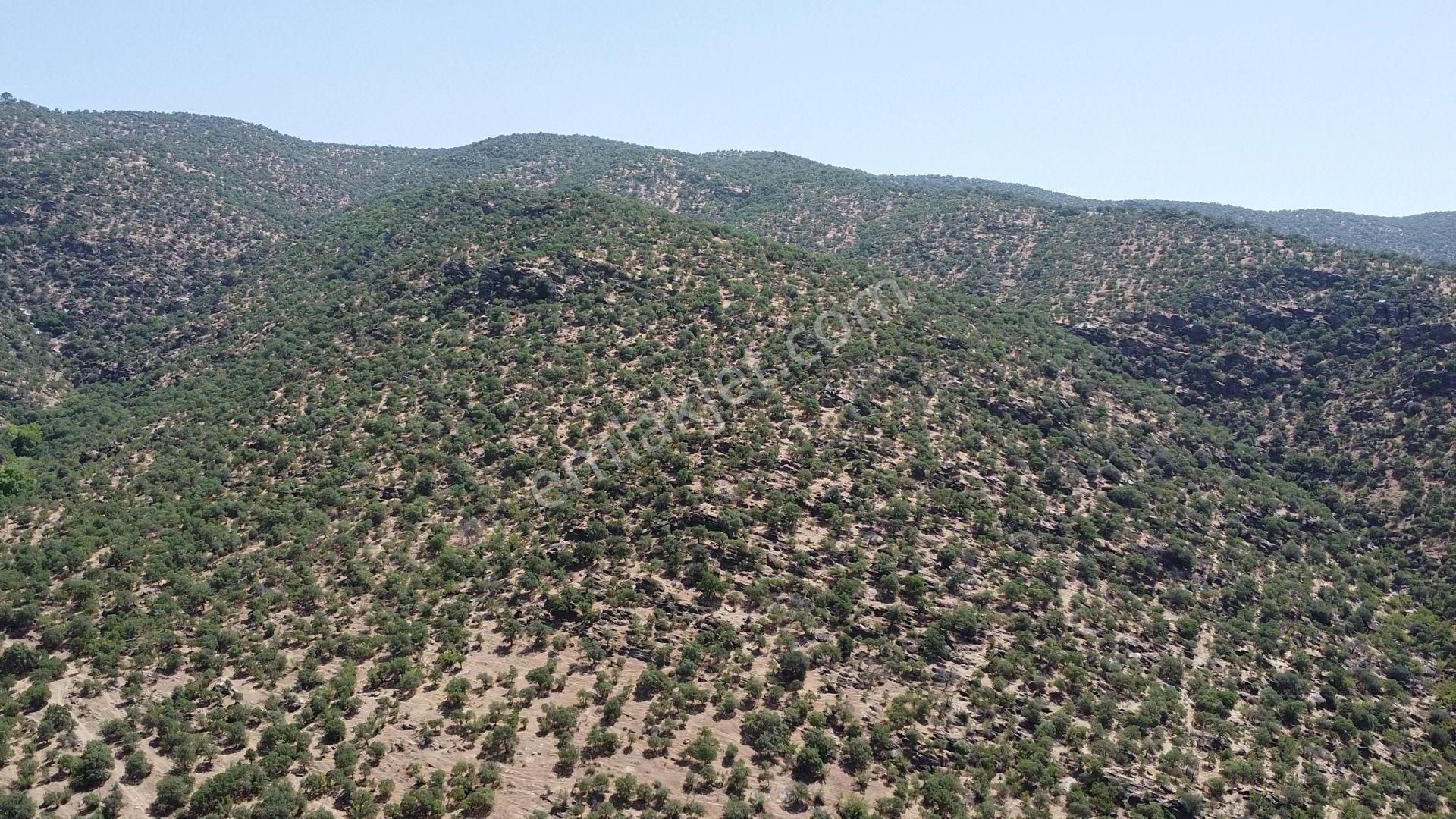 Salihli Gökçeköy Satılık Tarla Manisa Salihli Gökçeköyde Ges İçin Raporlu 305 Dönüm Arazi