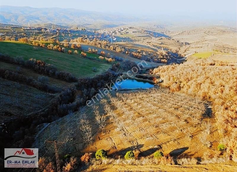 Kula Balıbey Satılık Tarla MANİSA KULA'DA SATILIK 45458 m2 CEVİZLİK VE BAEMLİK (video)